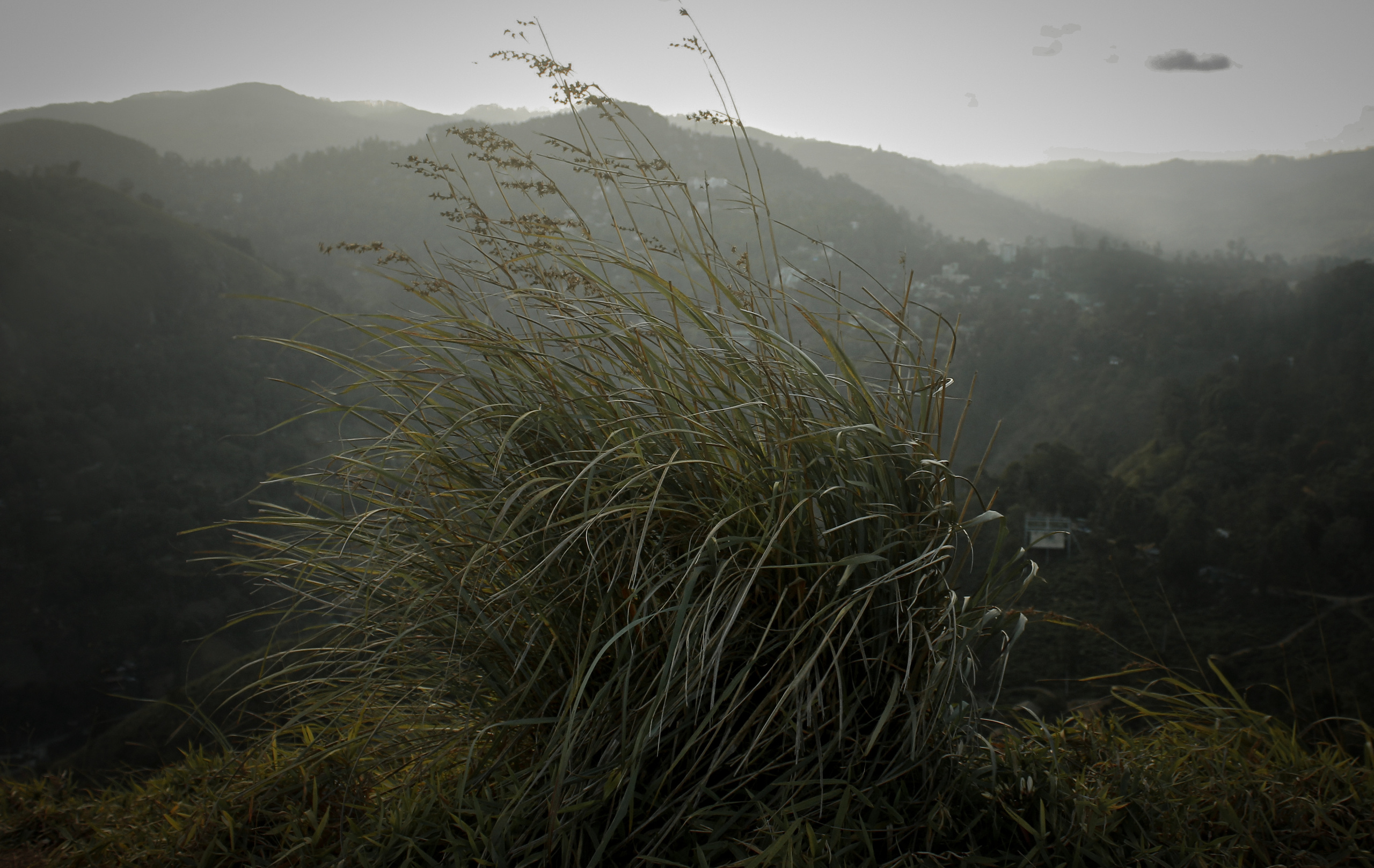Nature. Фотограф Алена Кузьмина
