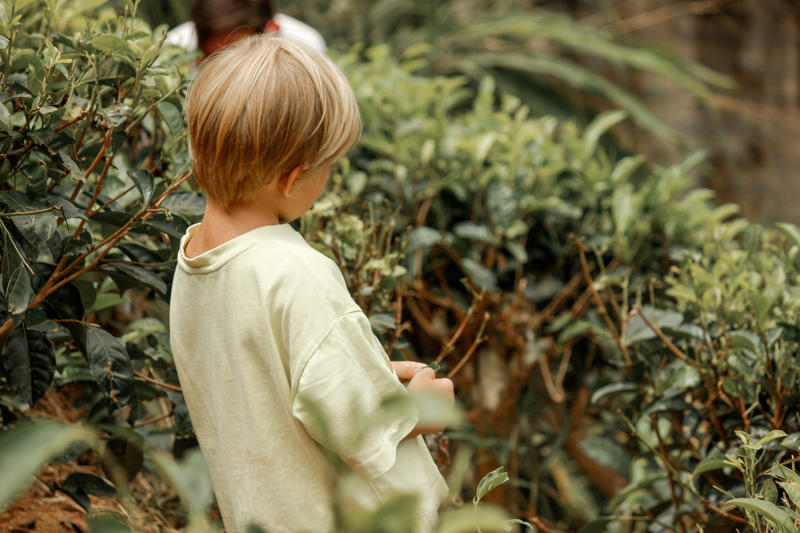My heart. Фотограф Алена Кузьмина