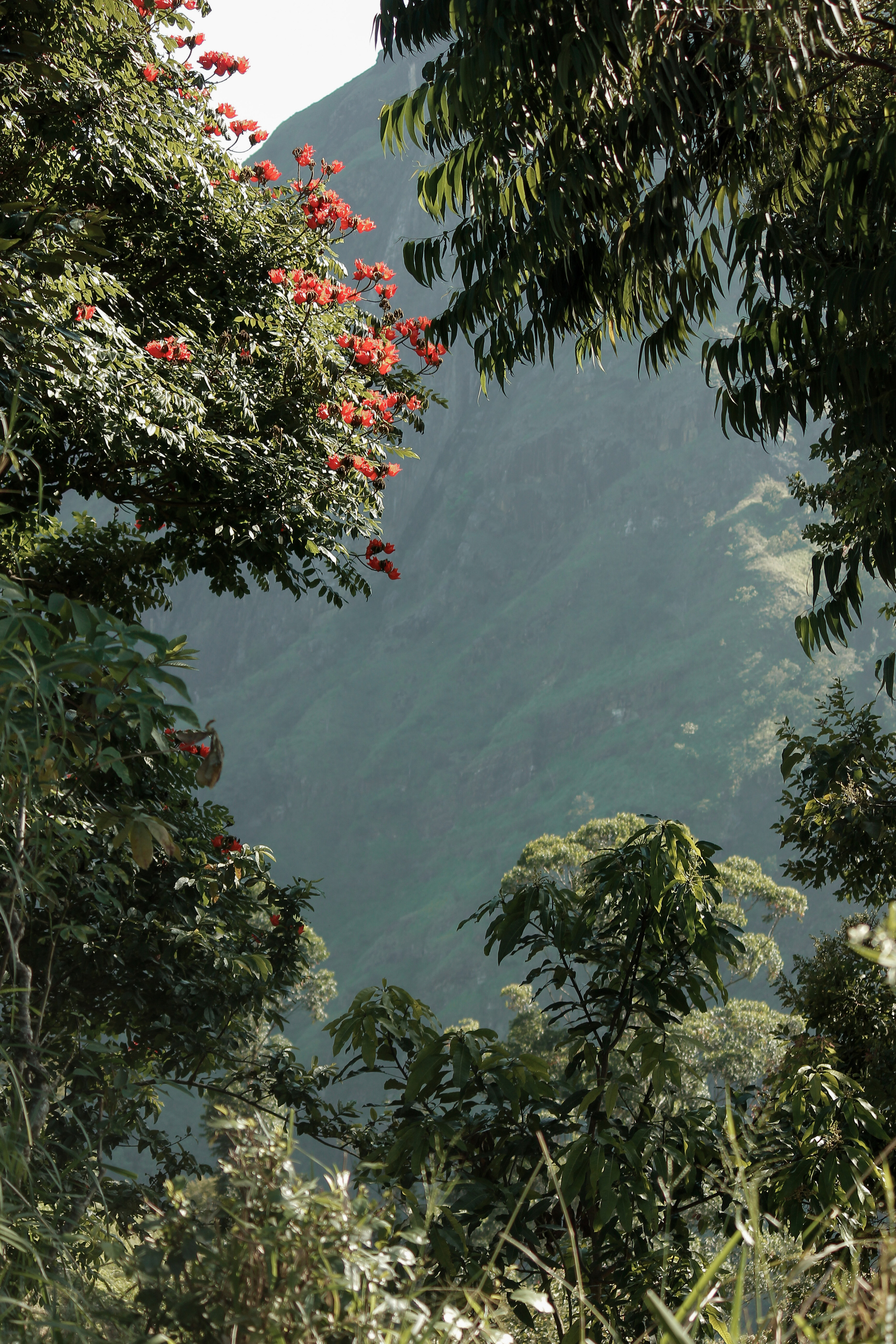 Nature. Фотограф Алена Кузьмина