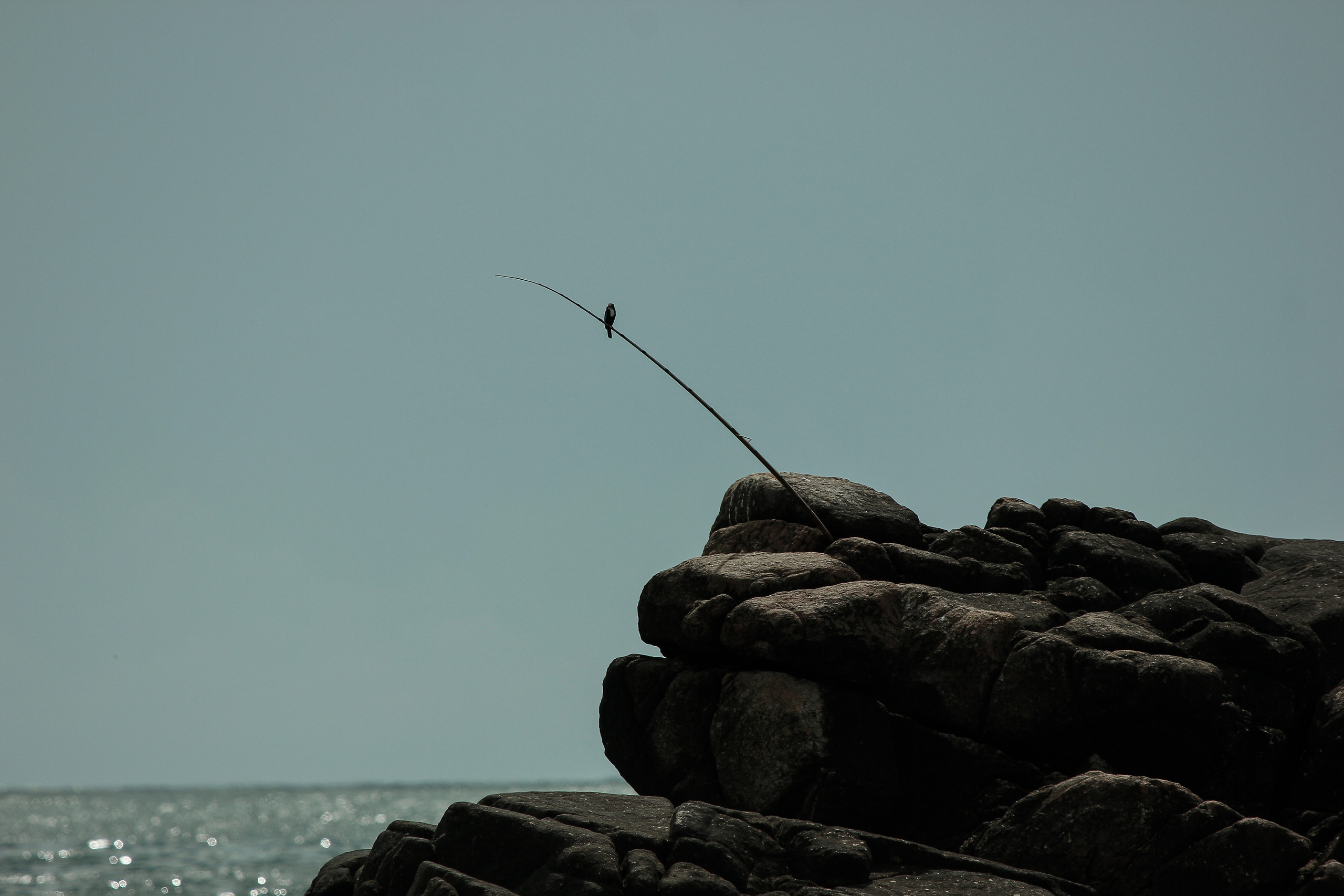 Nature. Фотограф Алена Кузьмина