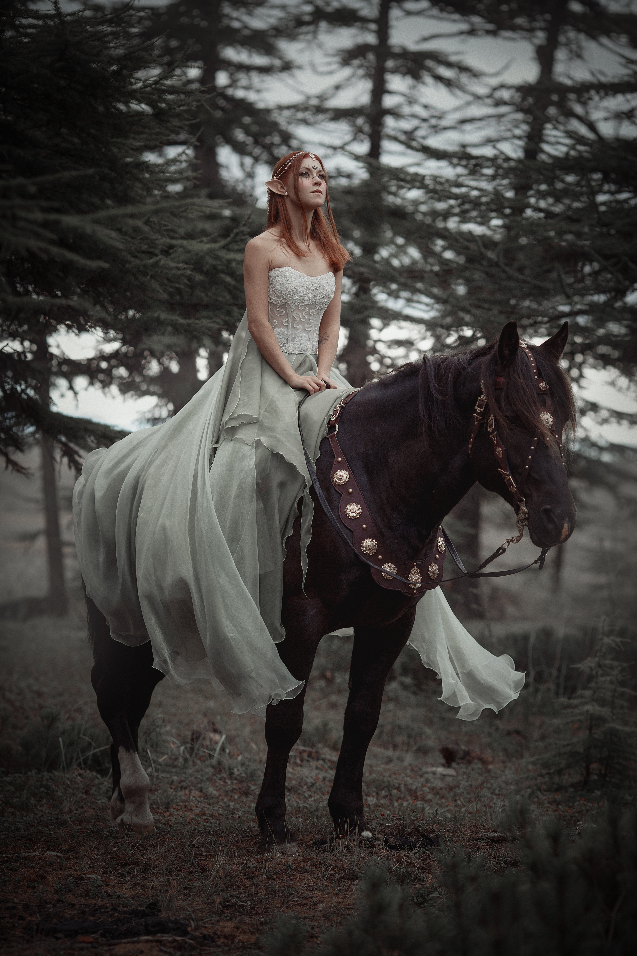 Эльф. Фотограф Алёна Яковлева