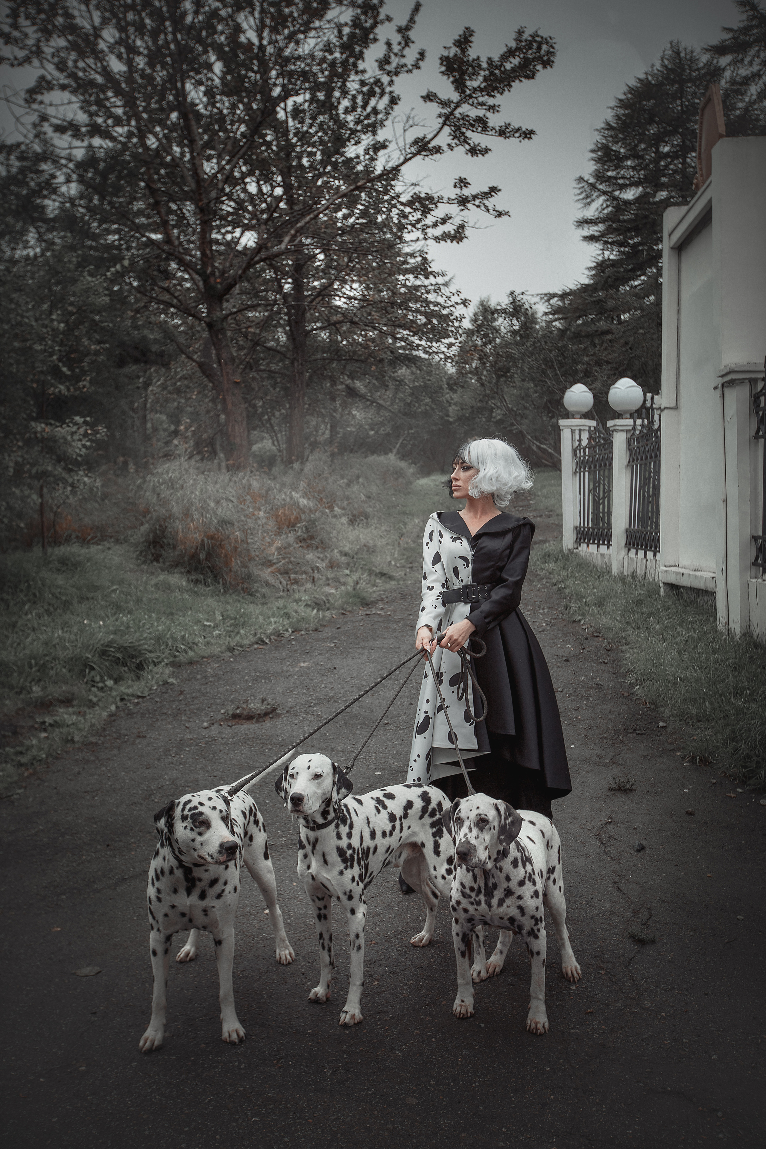 Круэлла. Фотограф Алёна Яковлева