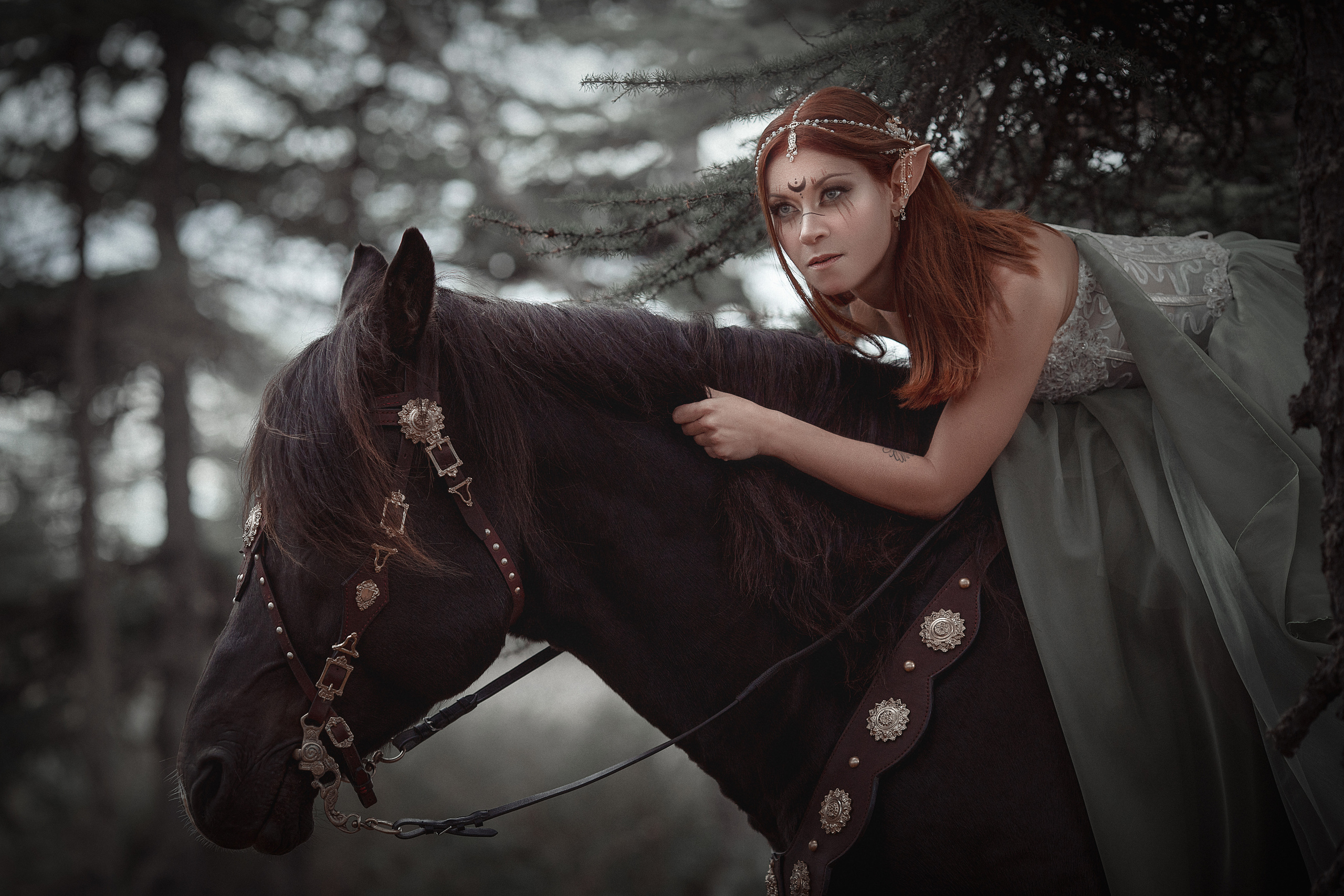 Эльф. Фотограф Алёна Яковлева