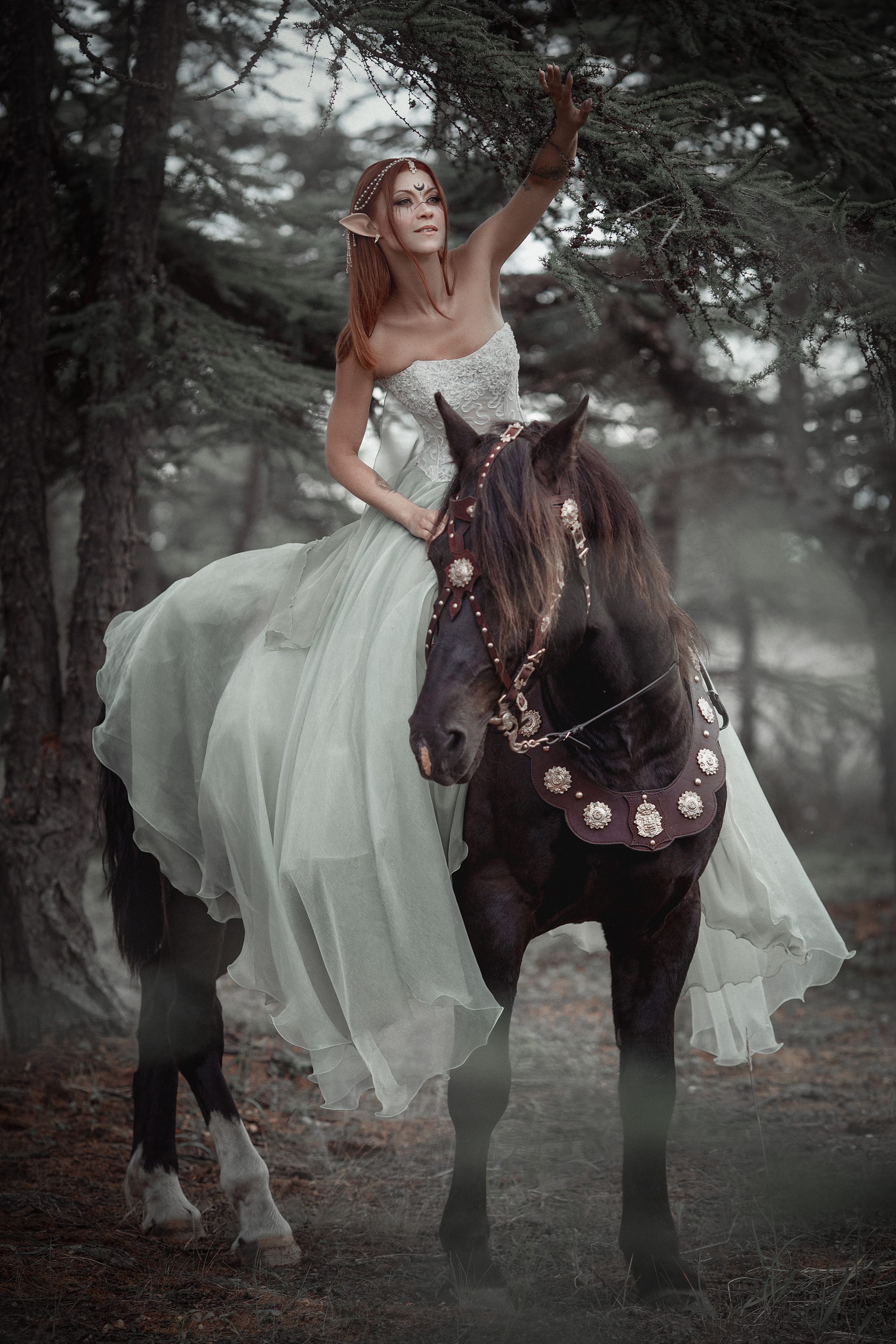 Эльф. Фотограф Алёна Яковлева