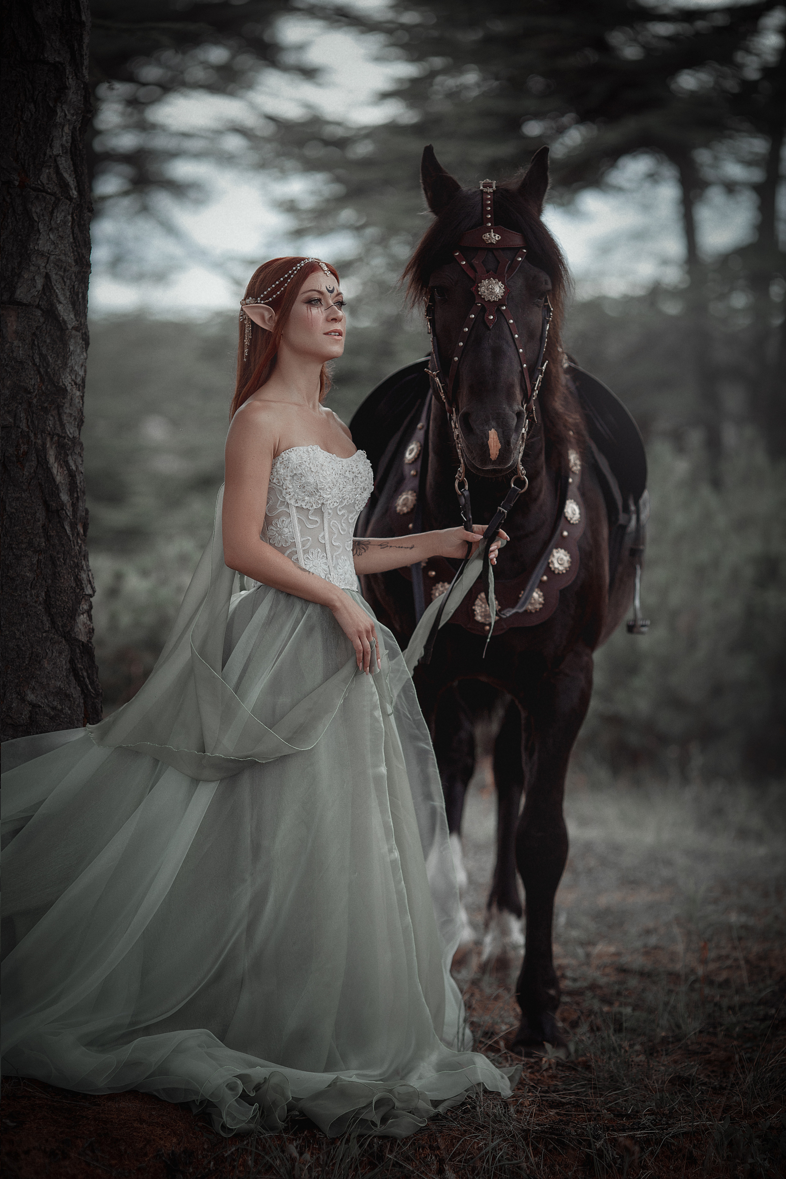 Эльф. Фотограф Алёна Яковлева