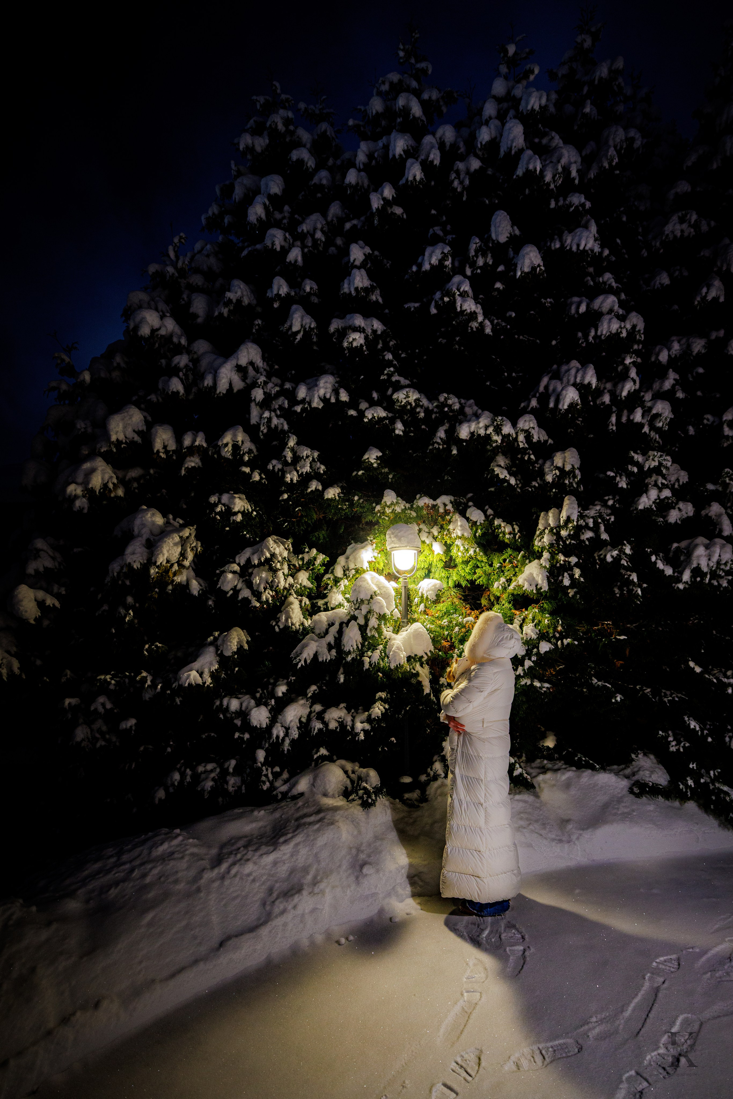 Природа 31 Декабря 2025 года. Клены. Фотографирую жизнь! Московский фотограф волонтер