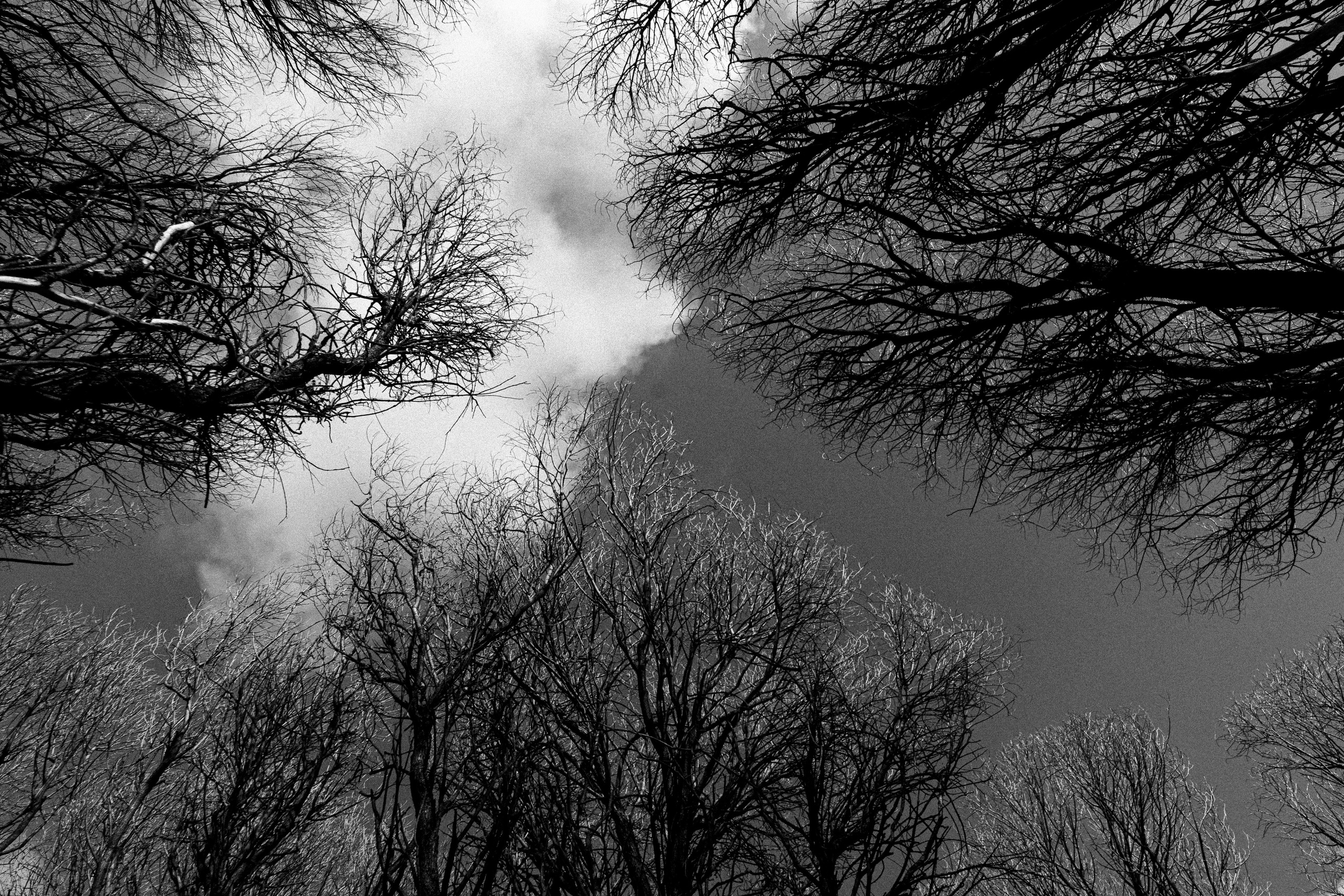 Стрит — фотография в Санкт-Петербурге. Портретный фотограф в Санкт-Петербурге Дори Милиева