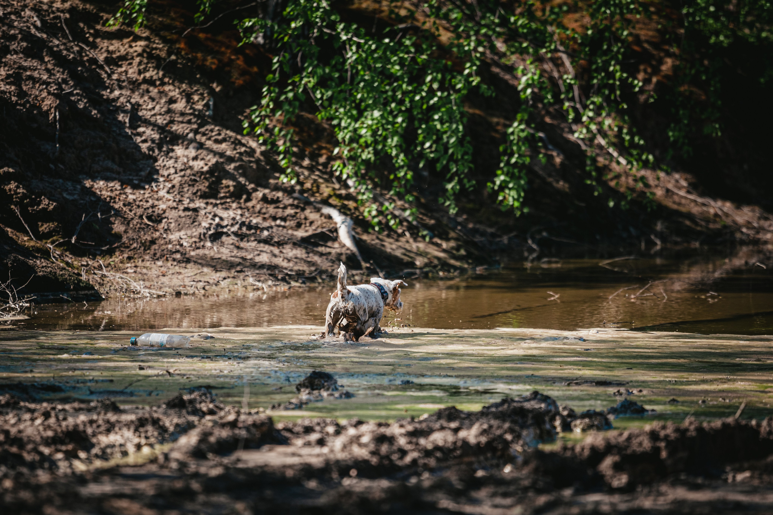 Кондуки. Фотограф-анималист Татьяна Степанова