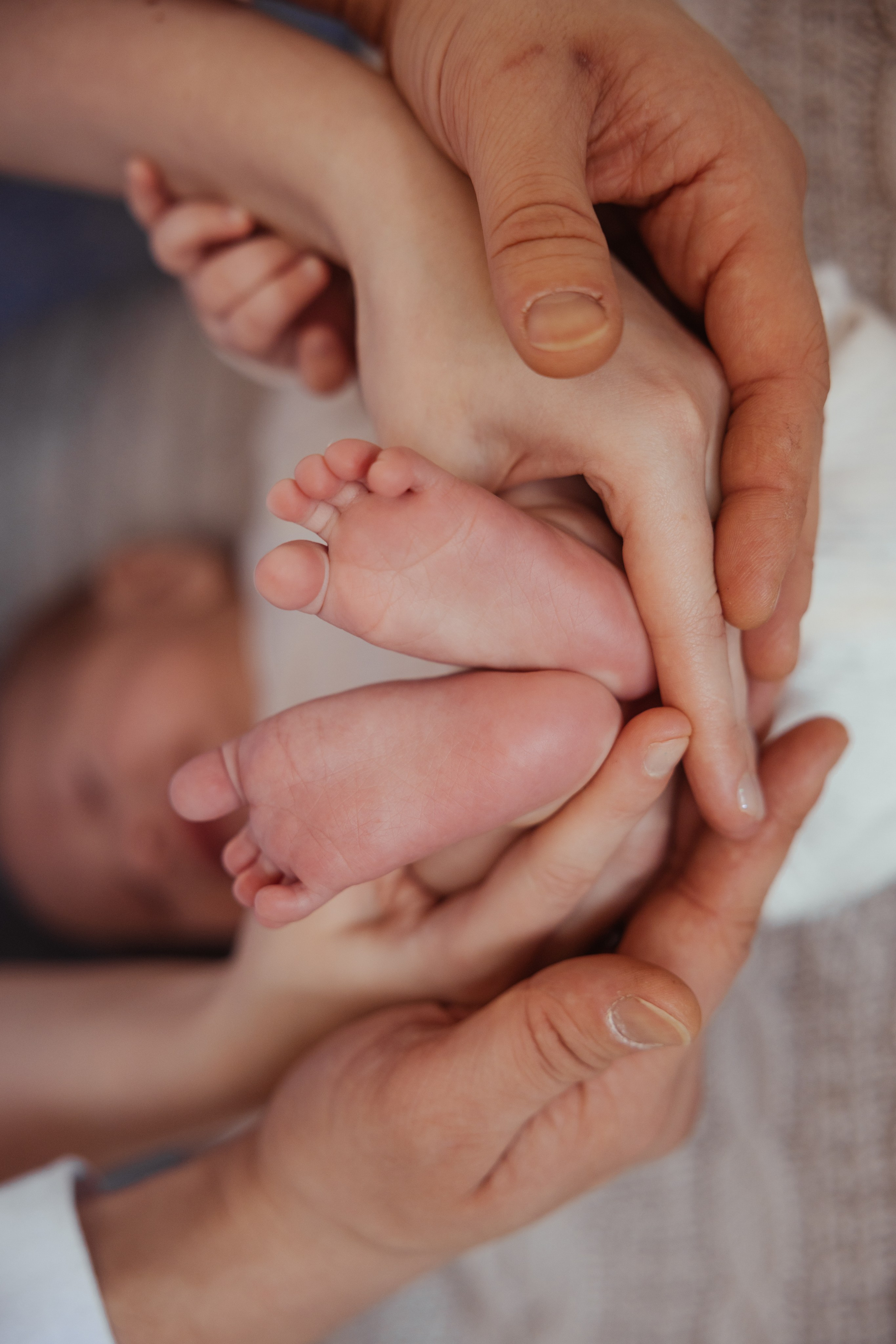 Андрей и Оксана 16.03.2025. Фотограф/видеограф в Санкт-Петербурге Динара Гольдина