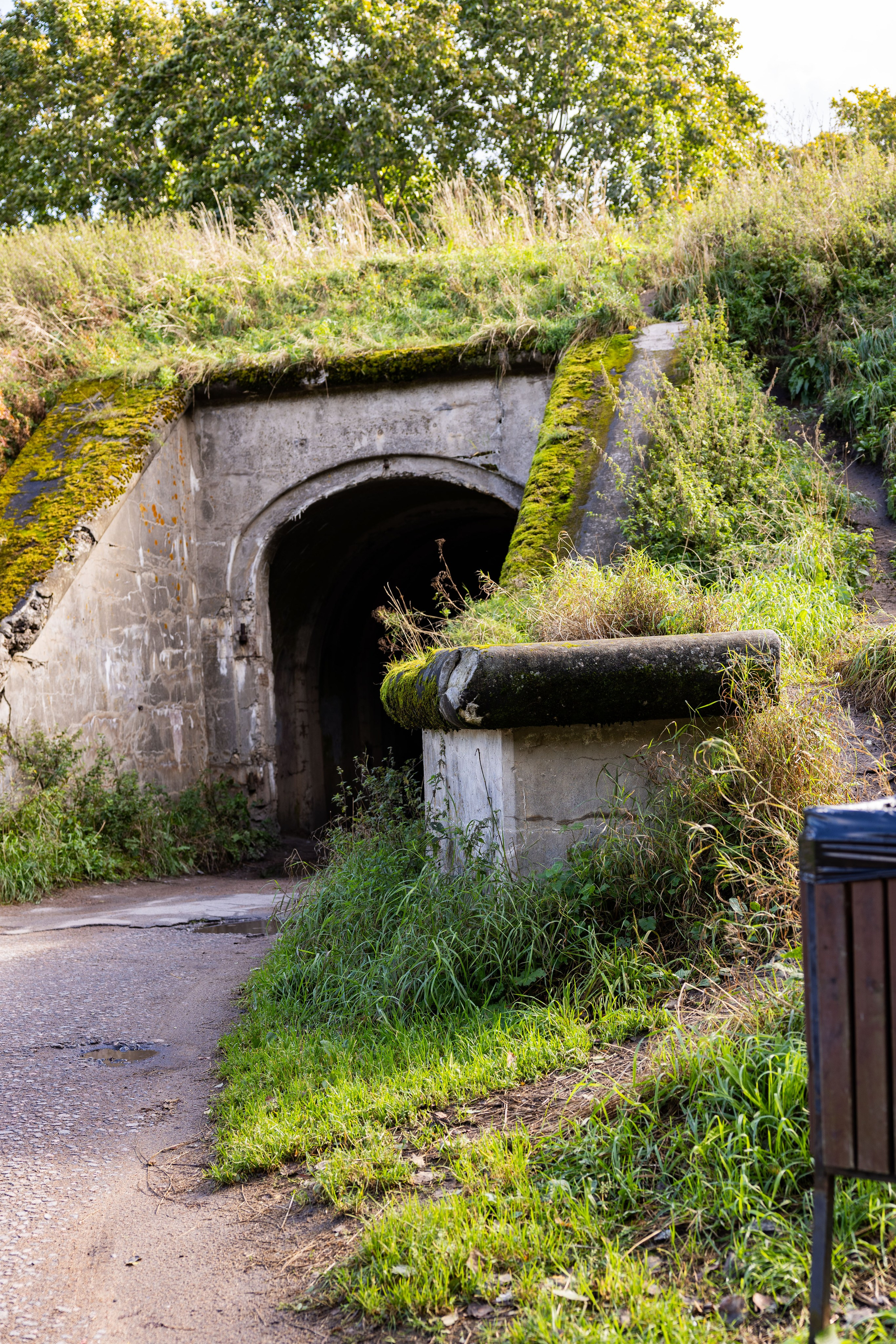 Зеленый пластик. Западный Котлин. Фотограф/видеограф в Санкт-Петербурге Динара Гольдина