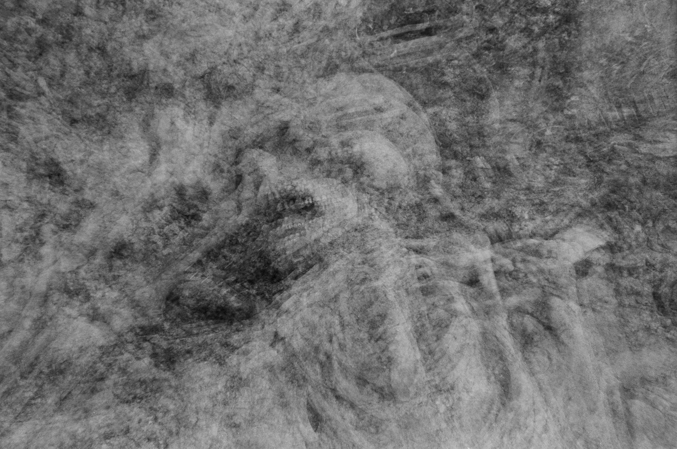 Персональные данные. Фотографии Саши Любина