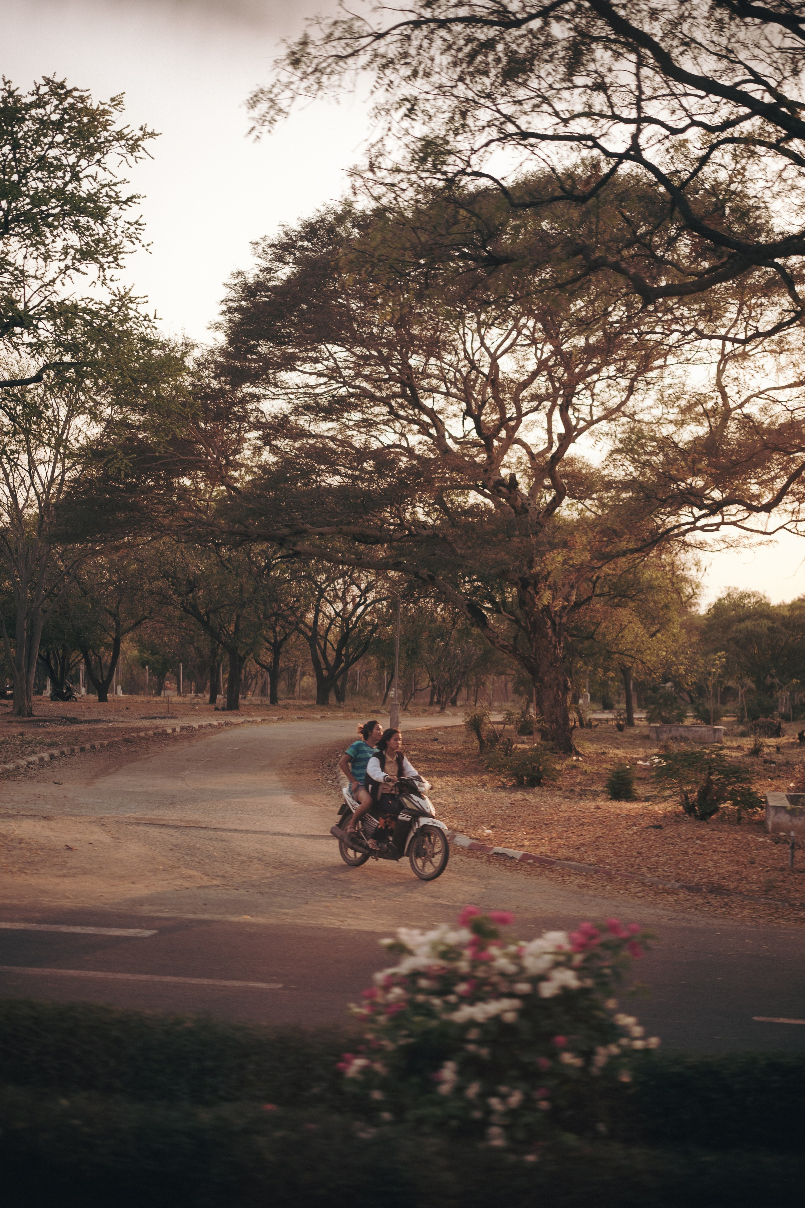 Myanmar. Dmitry Ippolitov