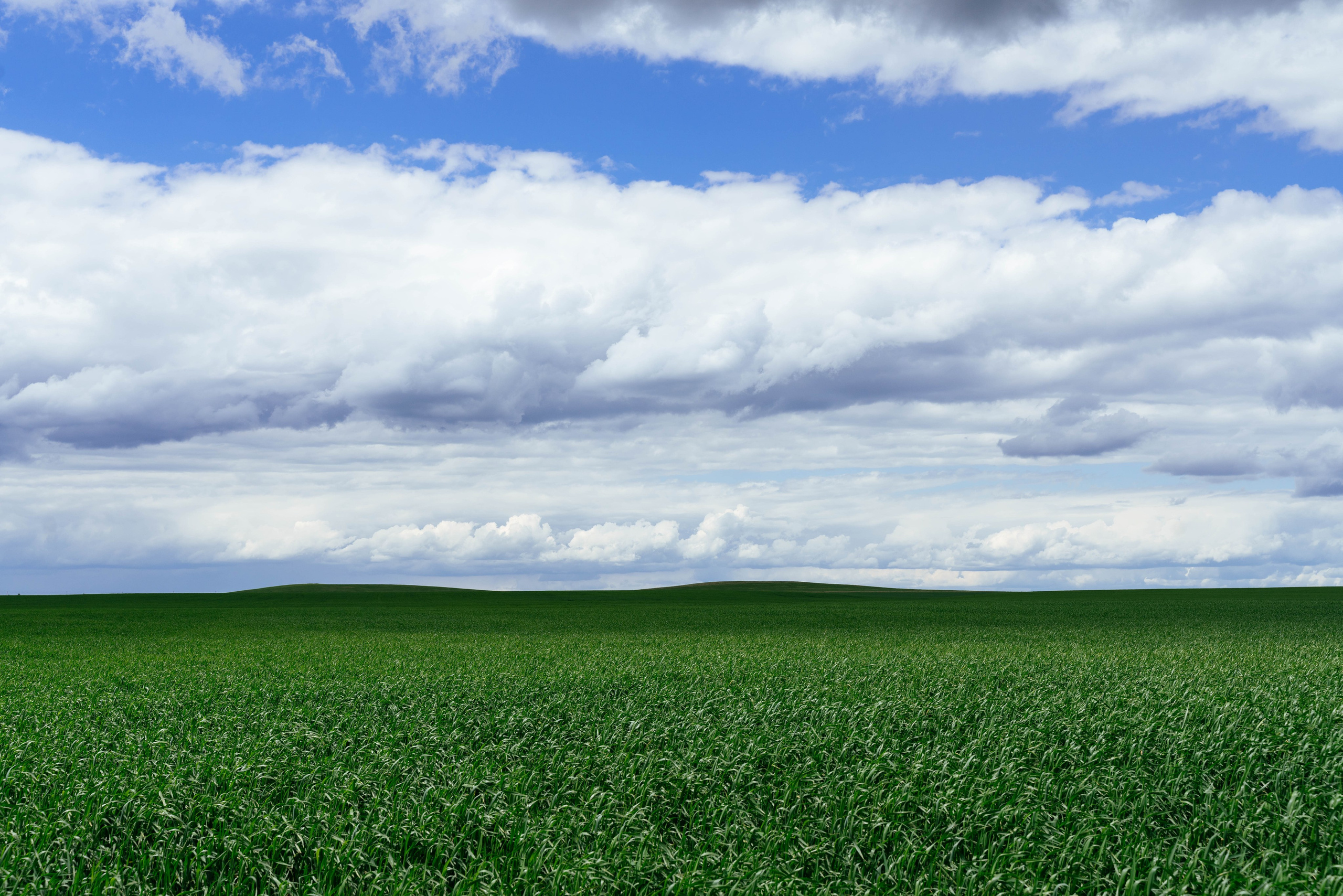 Автор: Григорий Гривцов