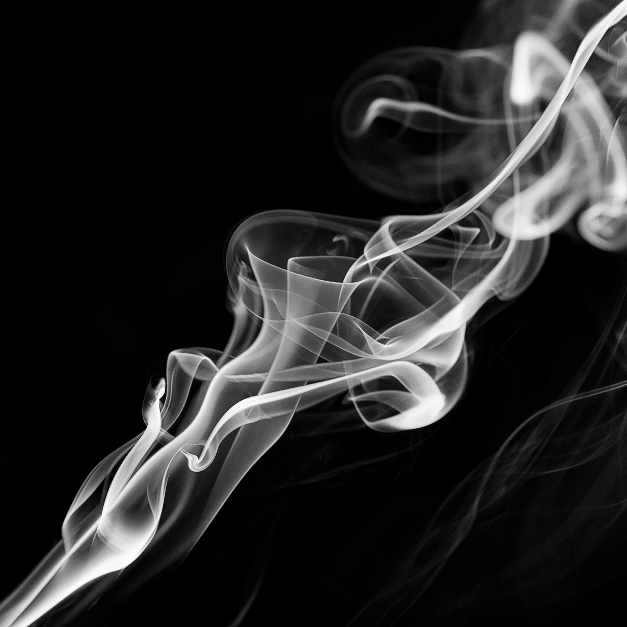 Автор: Максим Дунин