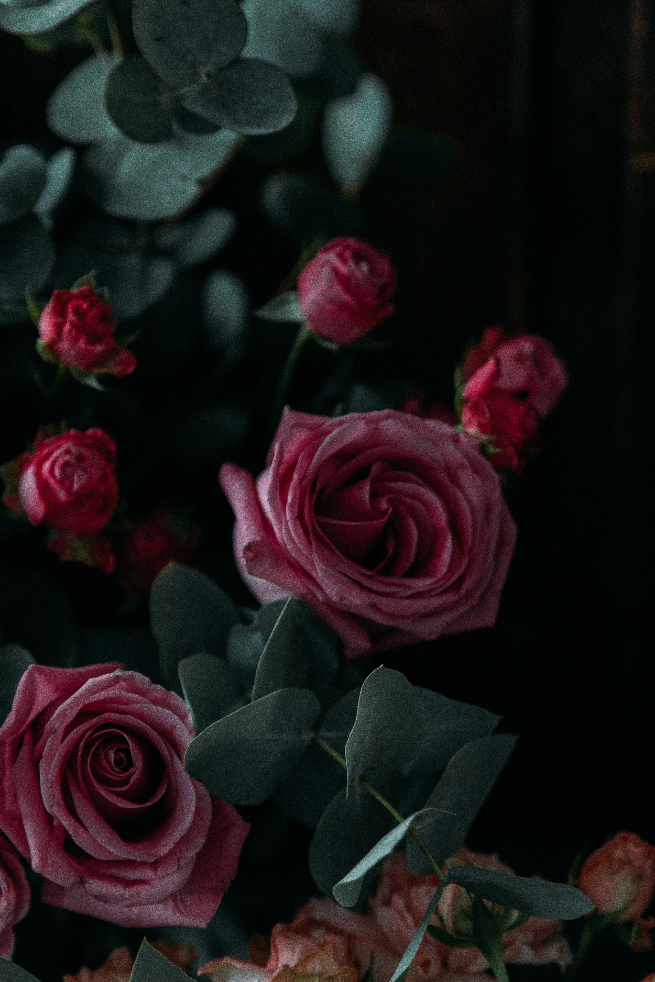 Анастасия. Свадебный и портретный фотограф в Новокузнецке Екатерина Авдеева