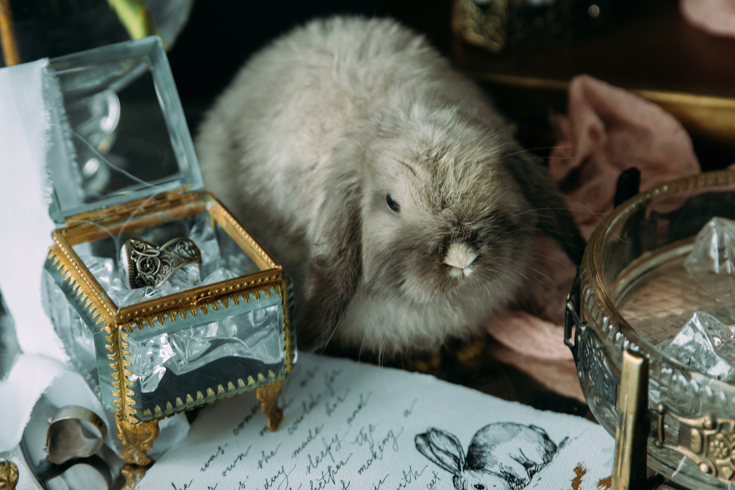 Анастасия. Свадебный и портретный фотограф в Новокузнецке Екатерина Авдеева