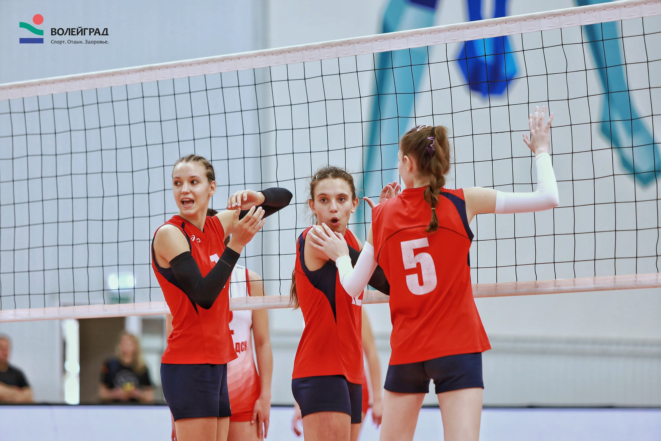 Волейбол ВФВ 05.04.24. Репортажный фотограф Анапа