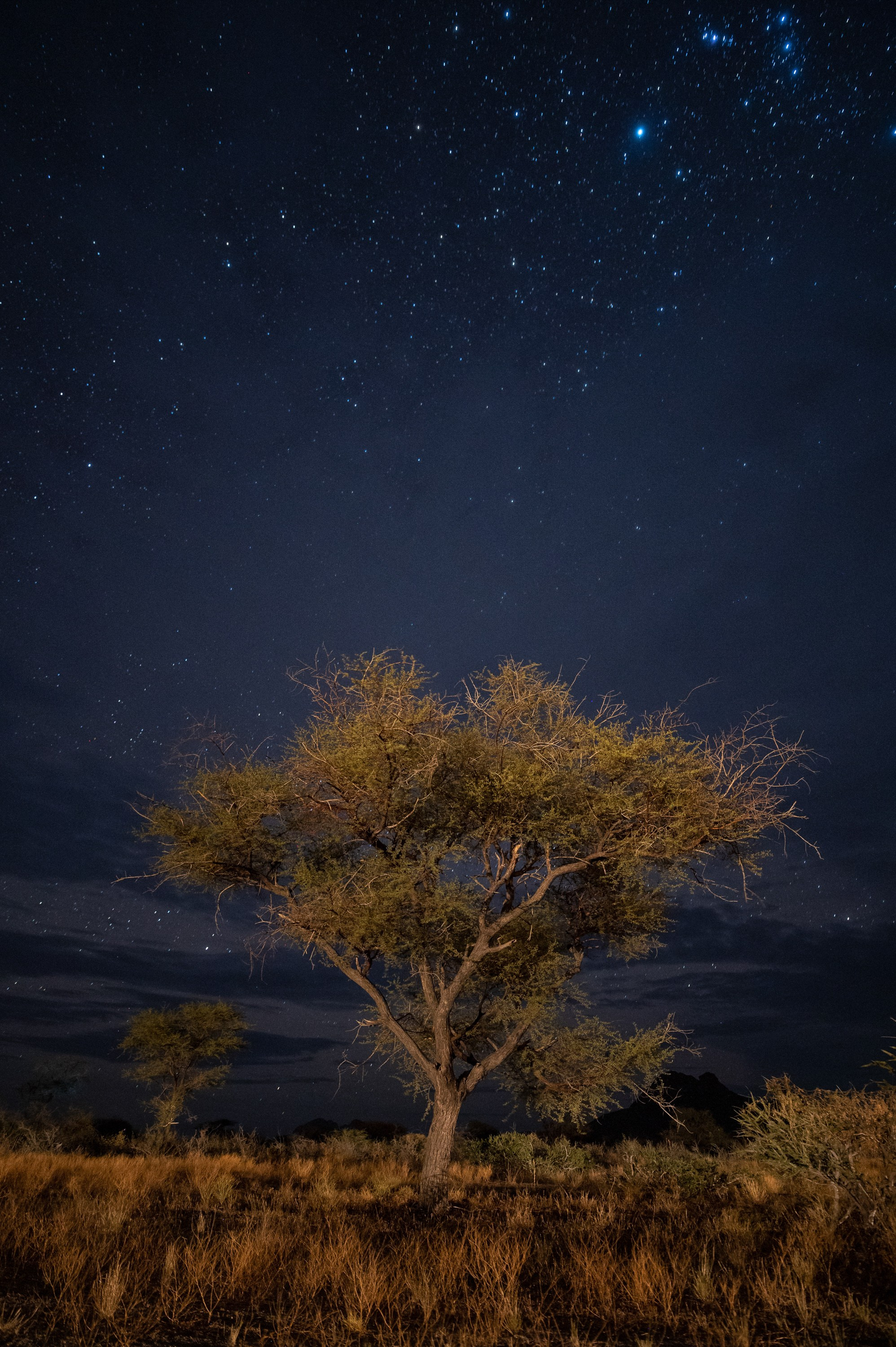 НАМИБИЯ. Роадтрип