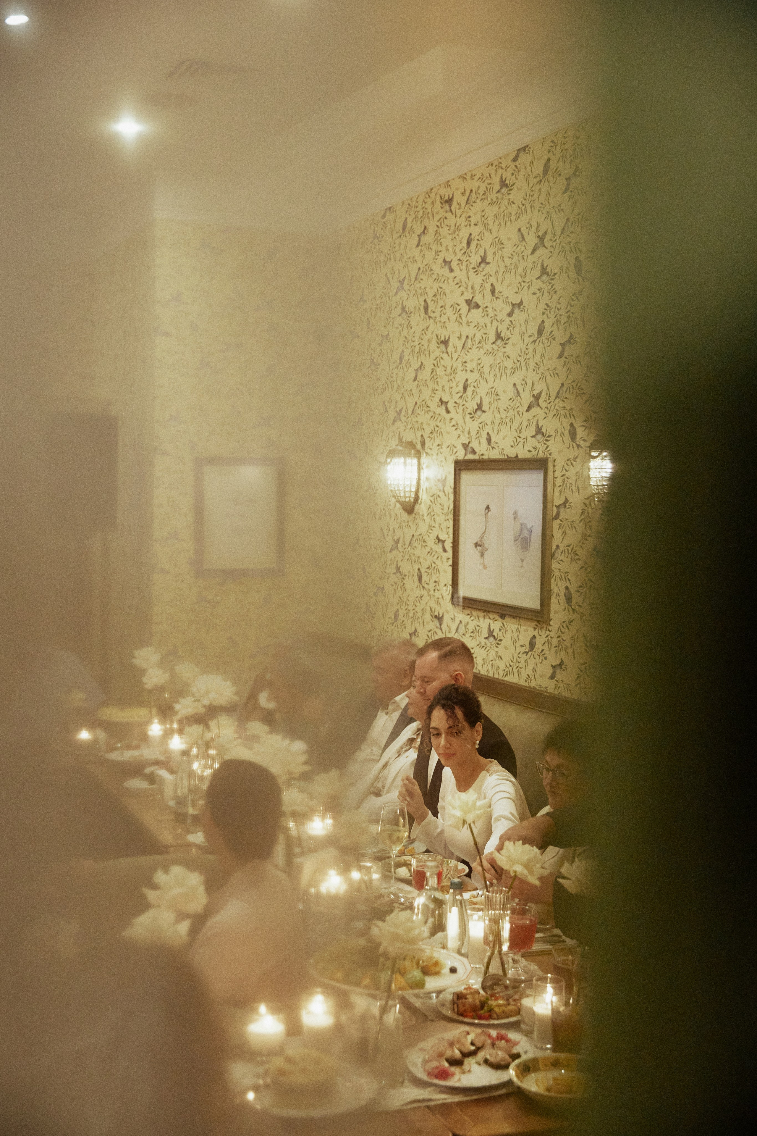 A NEW FAMILY TREE. Дмитрий Мазуркевич: Профессиональный Репортажный Фотограф