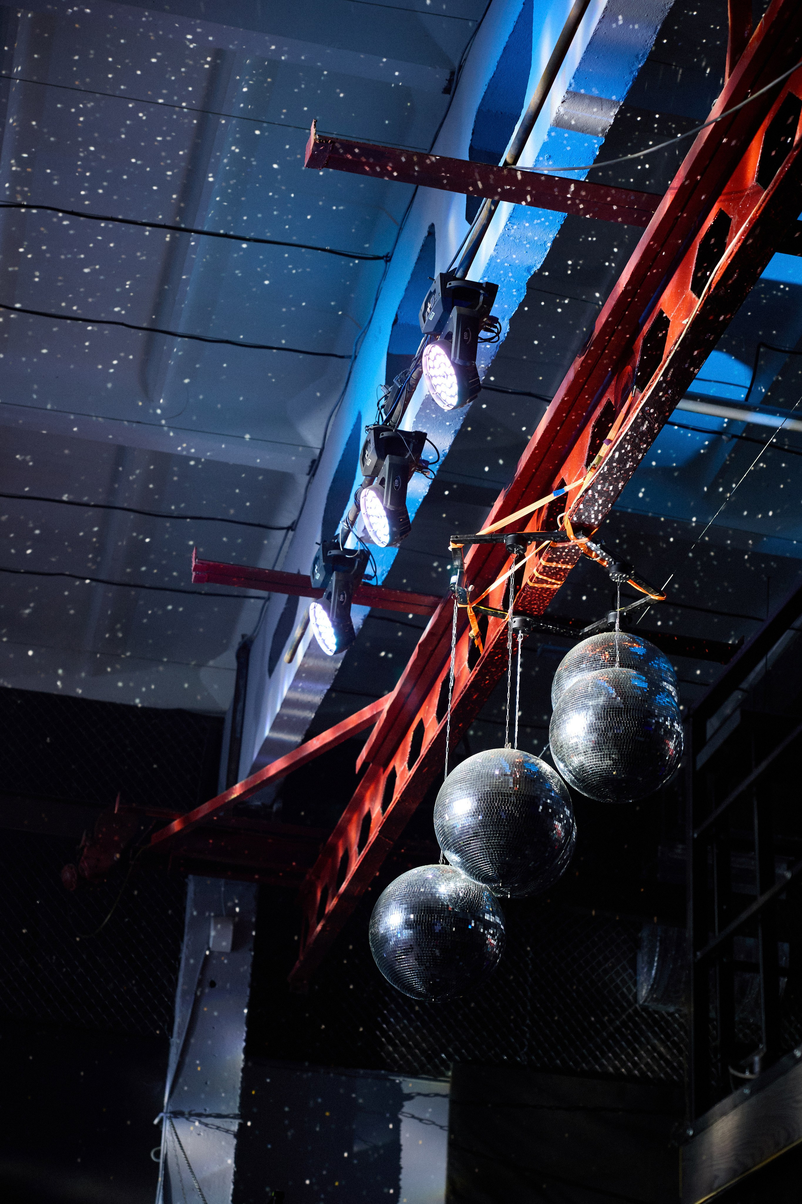 КОЧКА. Фотограф Айвазова Наталья Краснодар