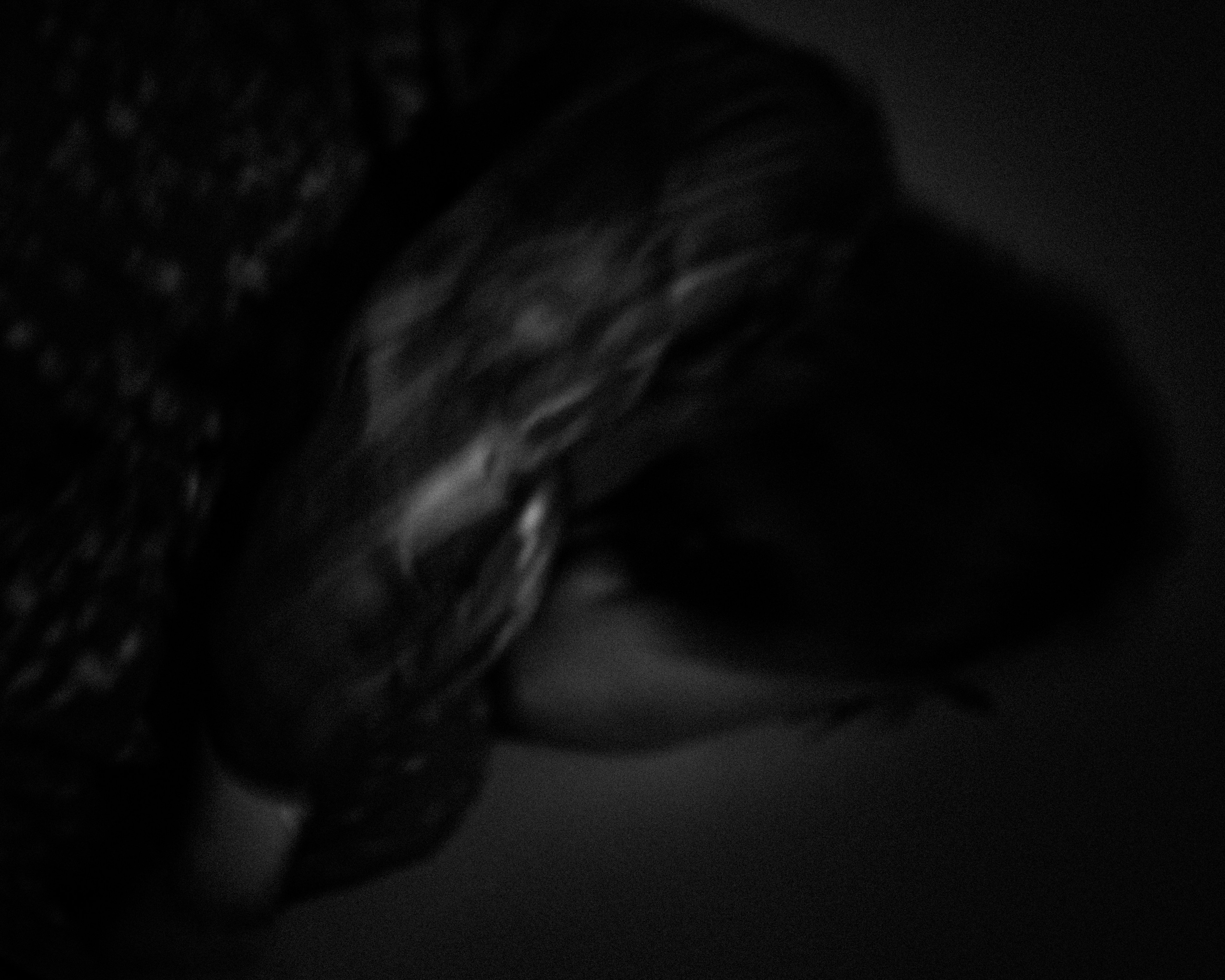 Inner demons sometimes come out. Polypolarphotography