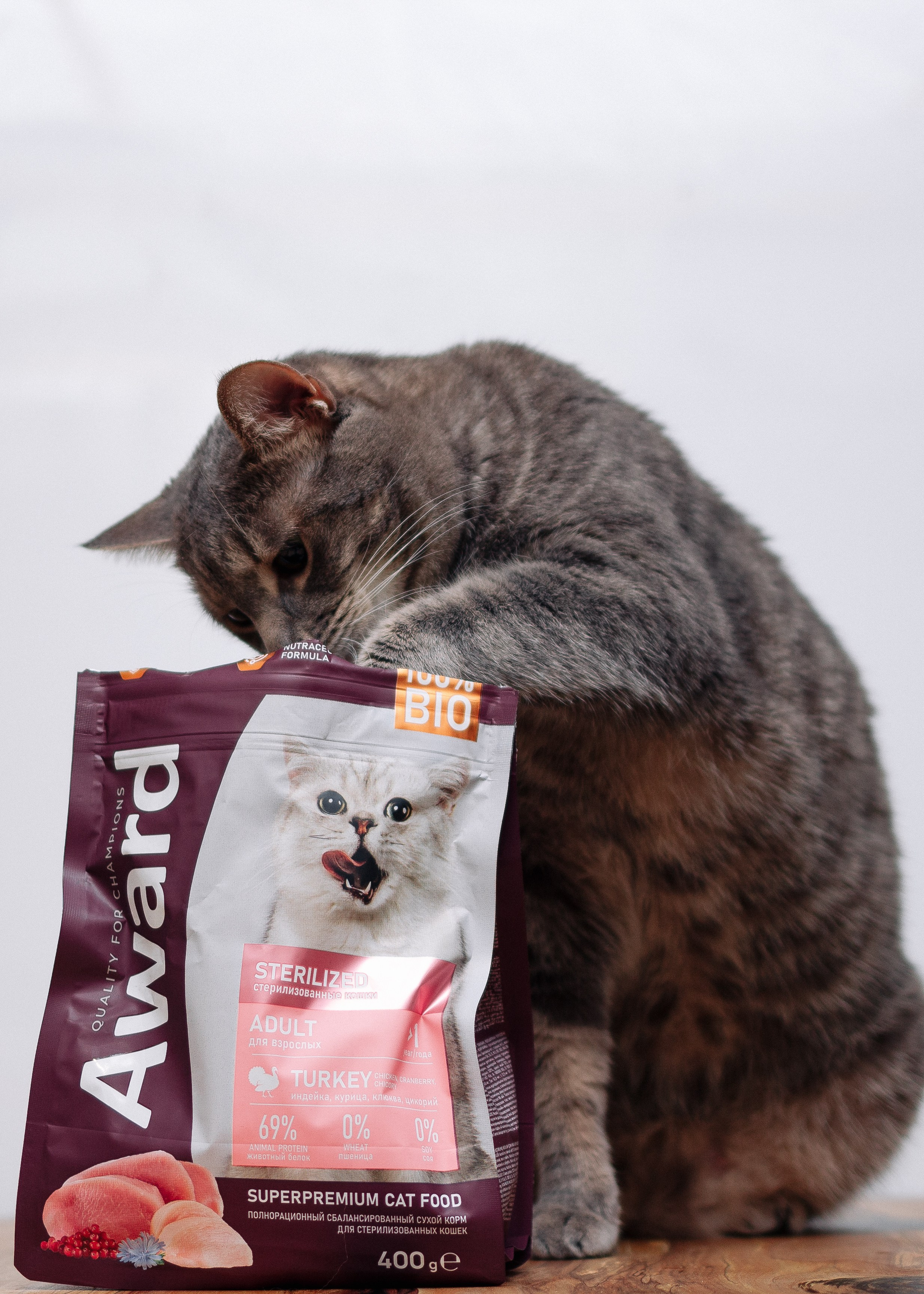 Благотворительная съемка животных. Предметный фотограф в Москве Дарья Радькович