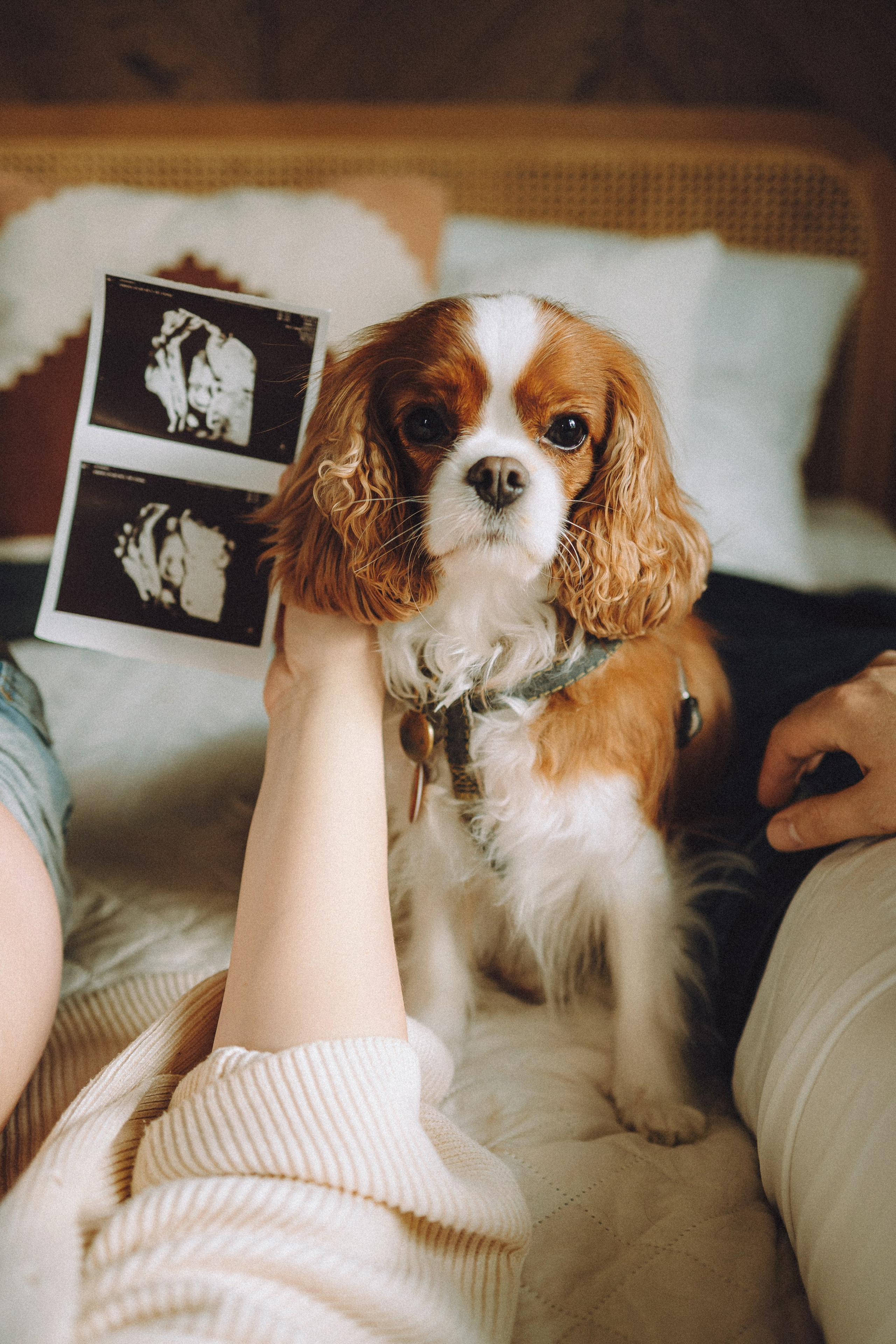 Валя, Вася, Аня и Ириска