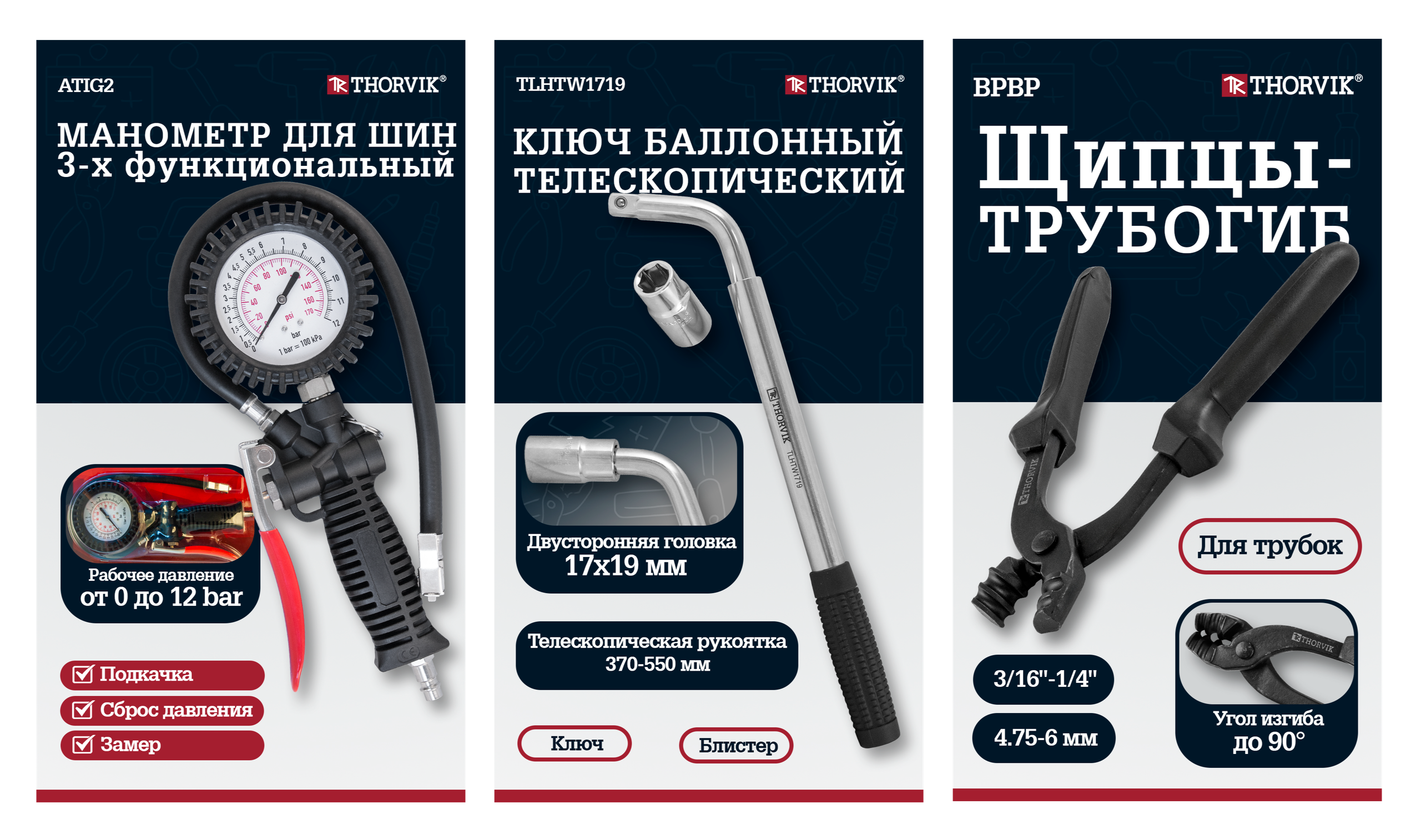 Инфографика. Дизайнер, контент-креатор Анна Молодцова