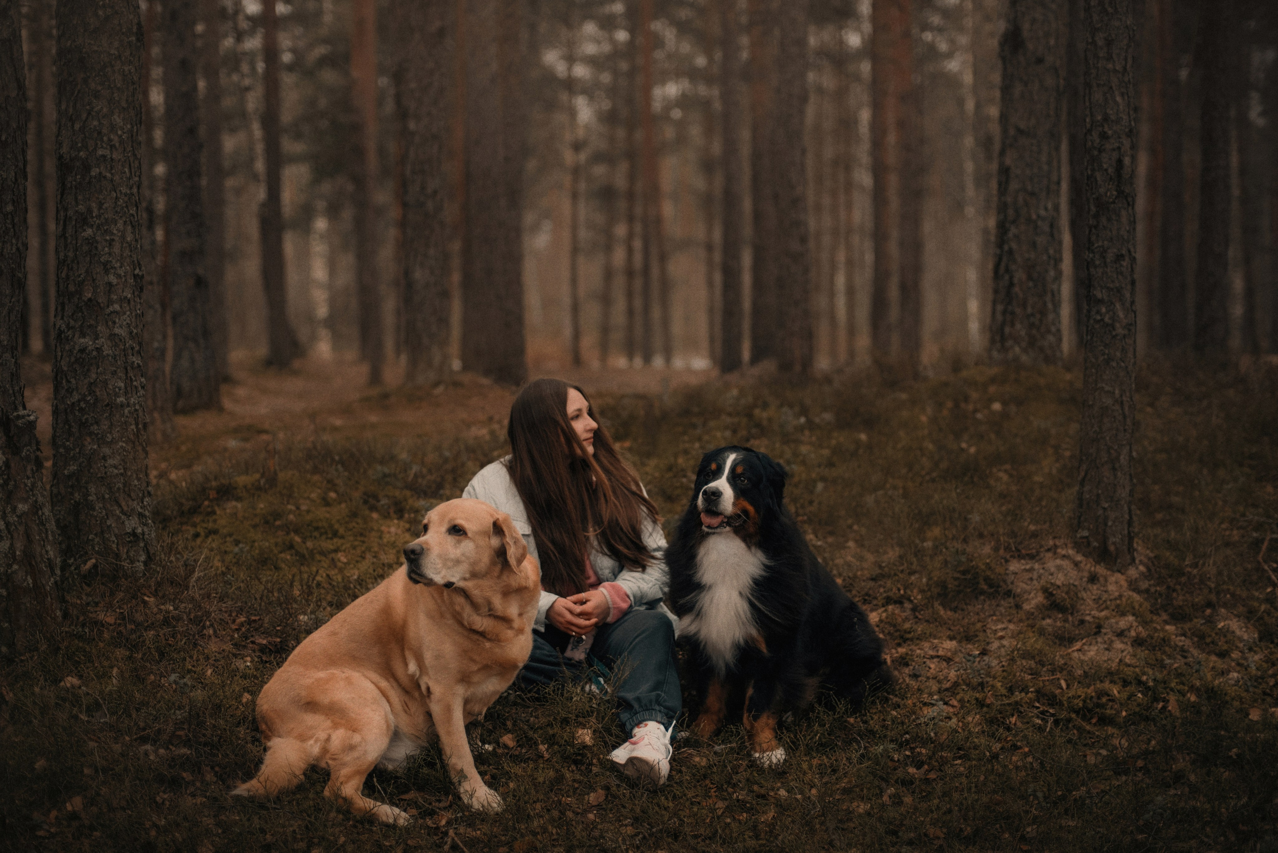 Прогулка: берн Пума, Фрэнк и Юля в Питере. Портфолио