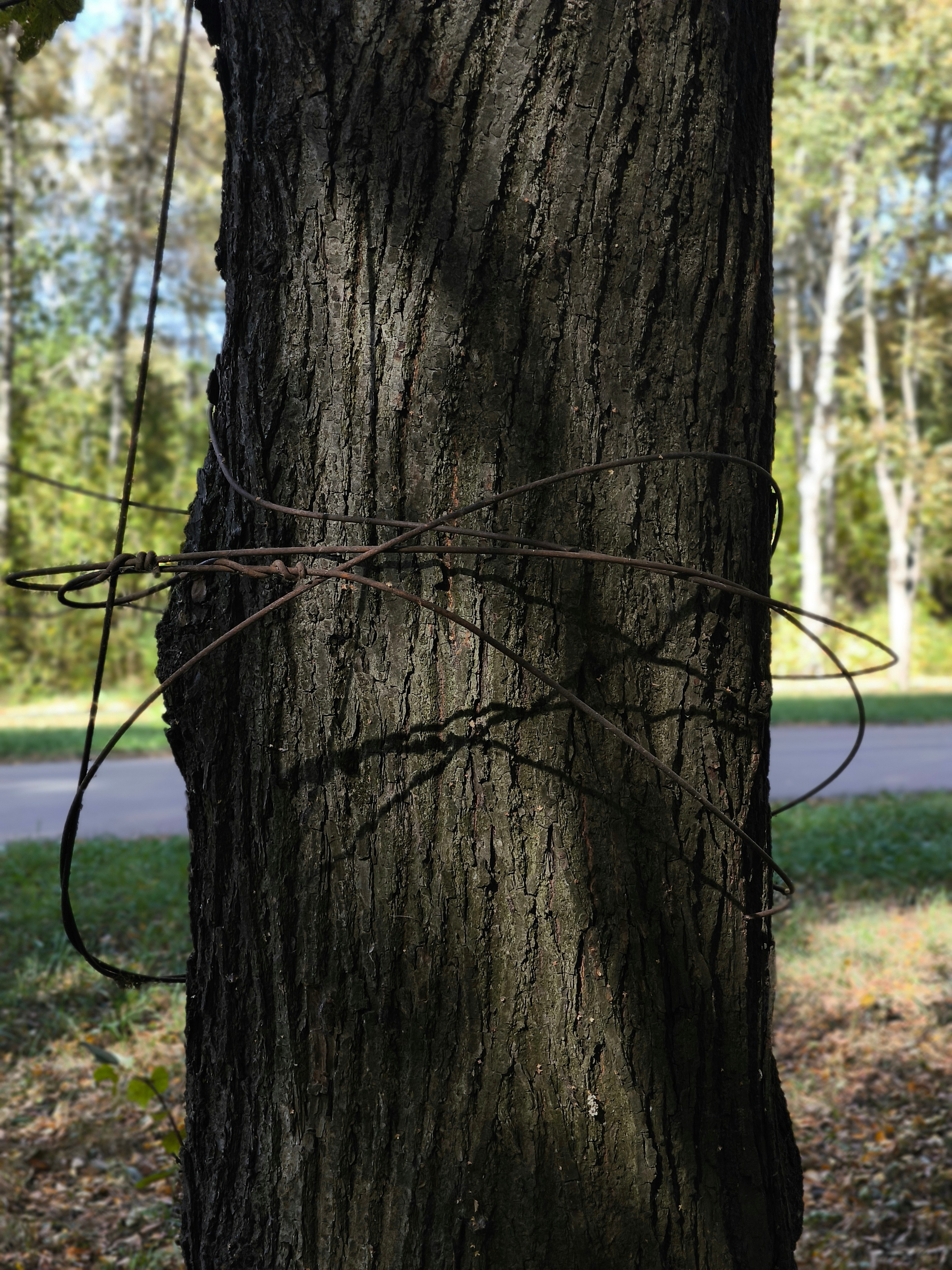 Ресурсы. Контент-фотограф Рязань/Москва/Санкт-Петербург/Сочи Елена Сазонтова