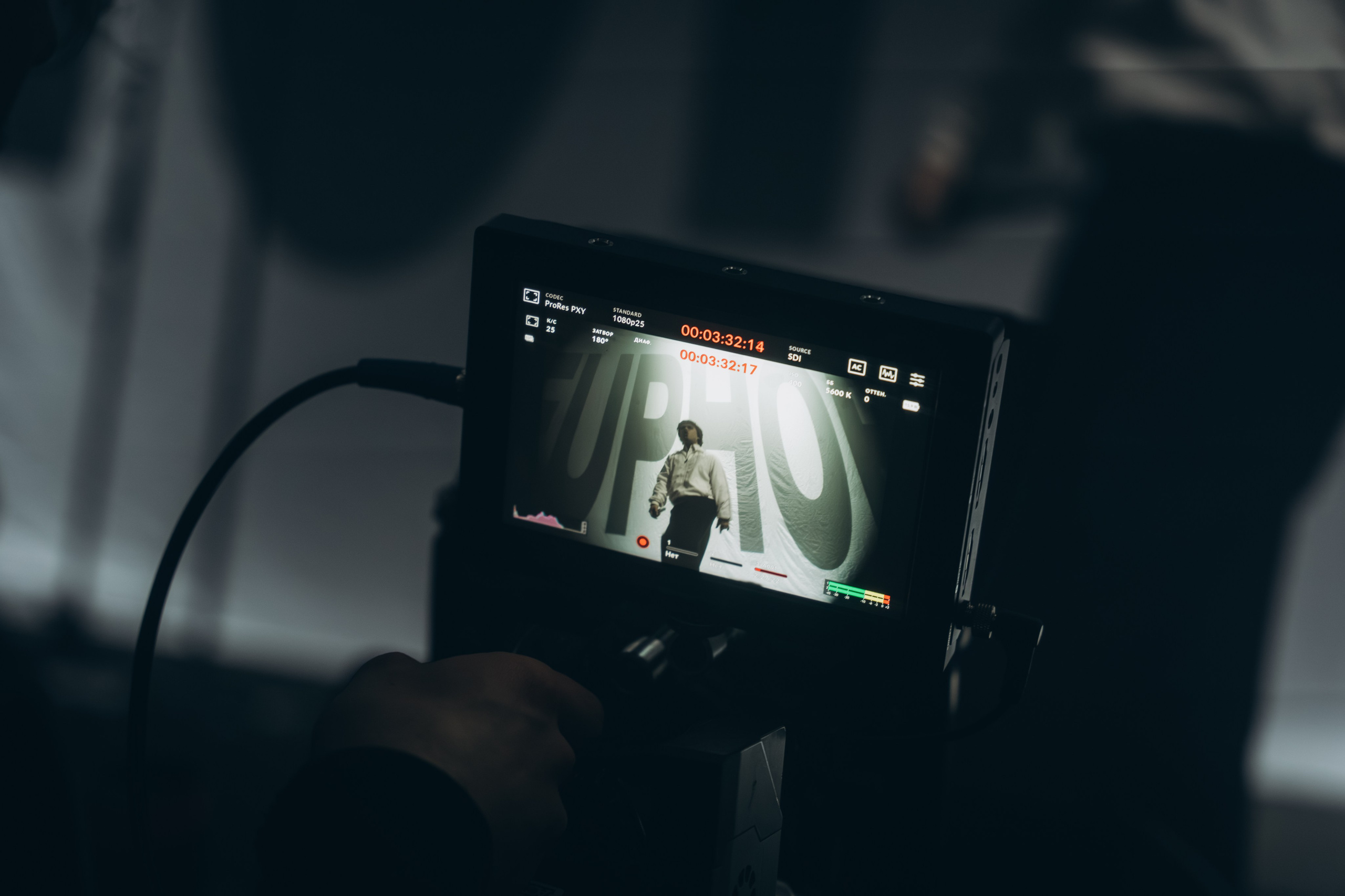 SALUKI. Фотограф Санкт-Петербурга