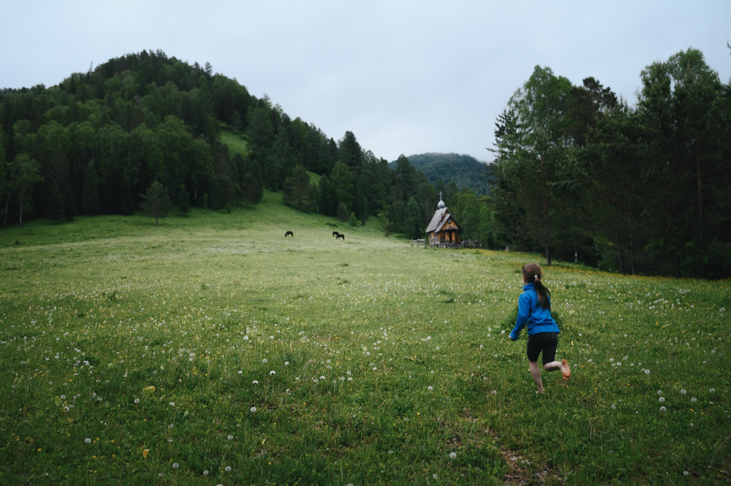 Невидимый спектр. Komonev