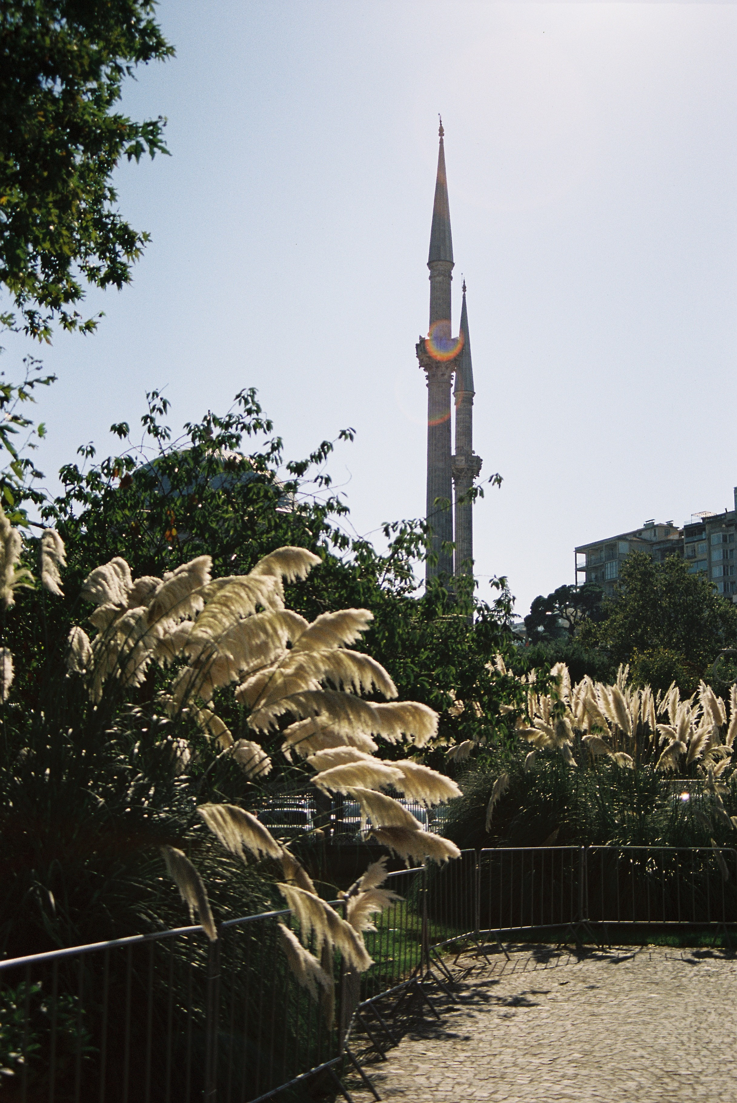 Путешествия. Anastasiia Kron