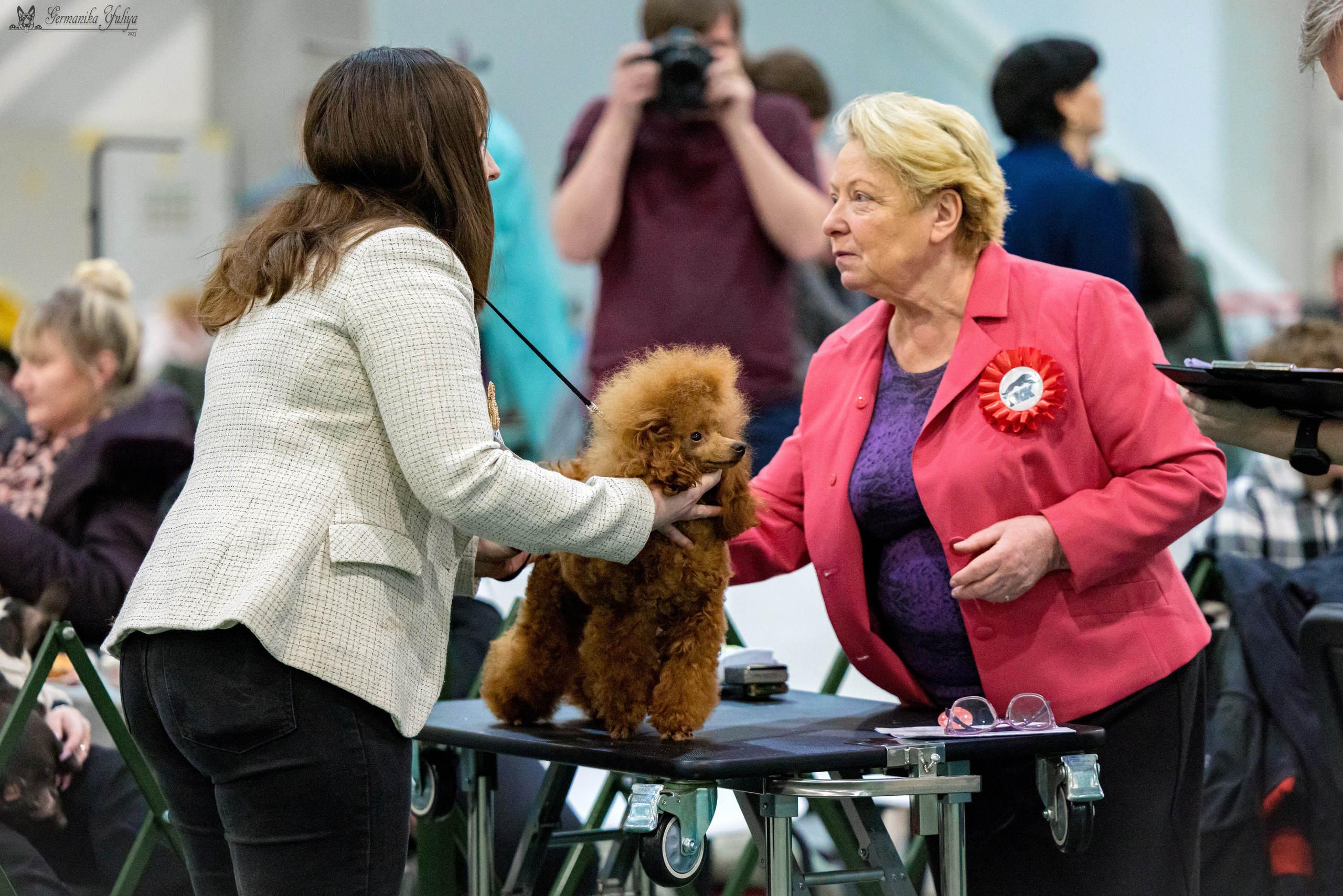 Крокус 3,9 и 10.12.2023. Фотограф-анималист Юлия Германика