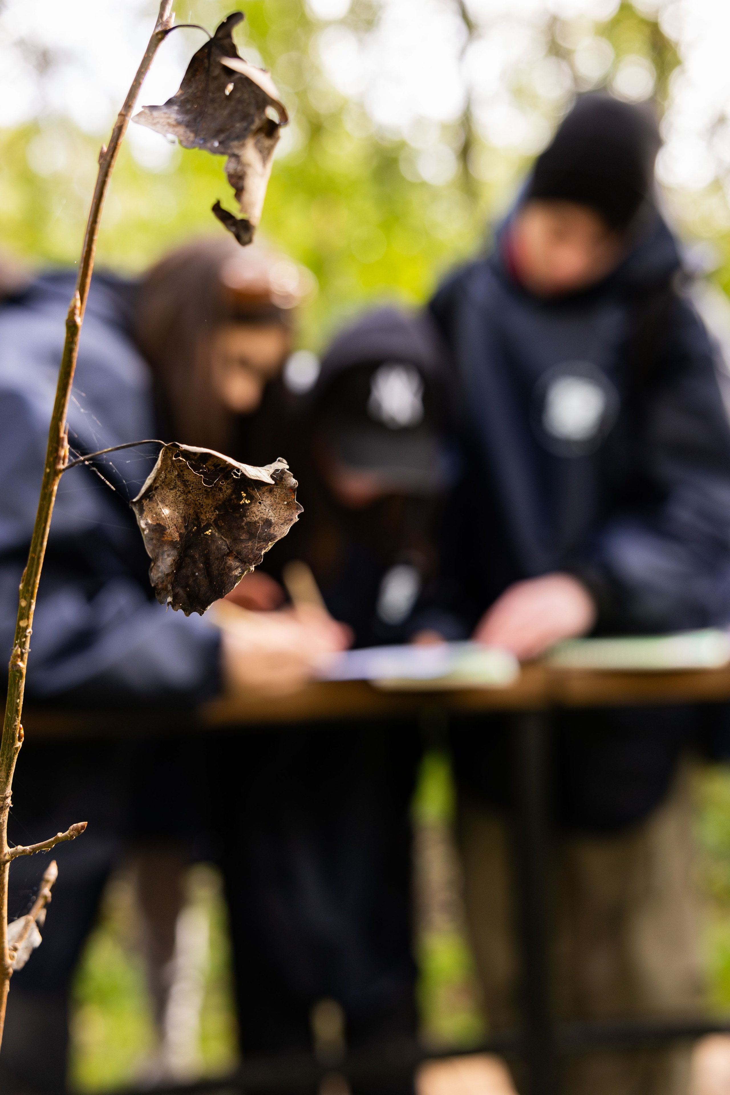 Зеленый пластик. Западный Котлин. Фотограф/видеограф в Санкт-Петербурге Динара Гольдина