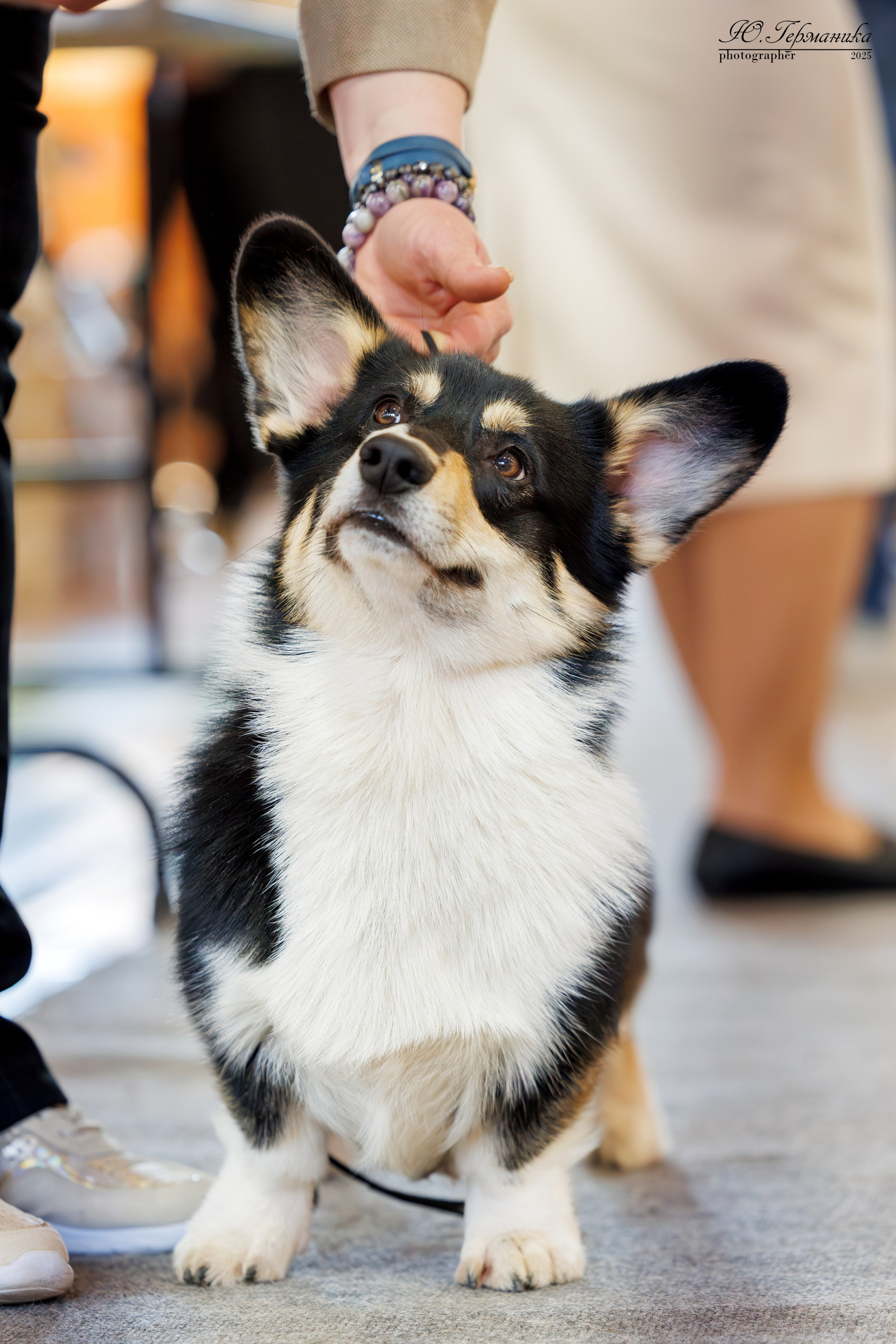 Тверь 12.04,Сфера 13.04,Сергиев Посад 19.04.2025