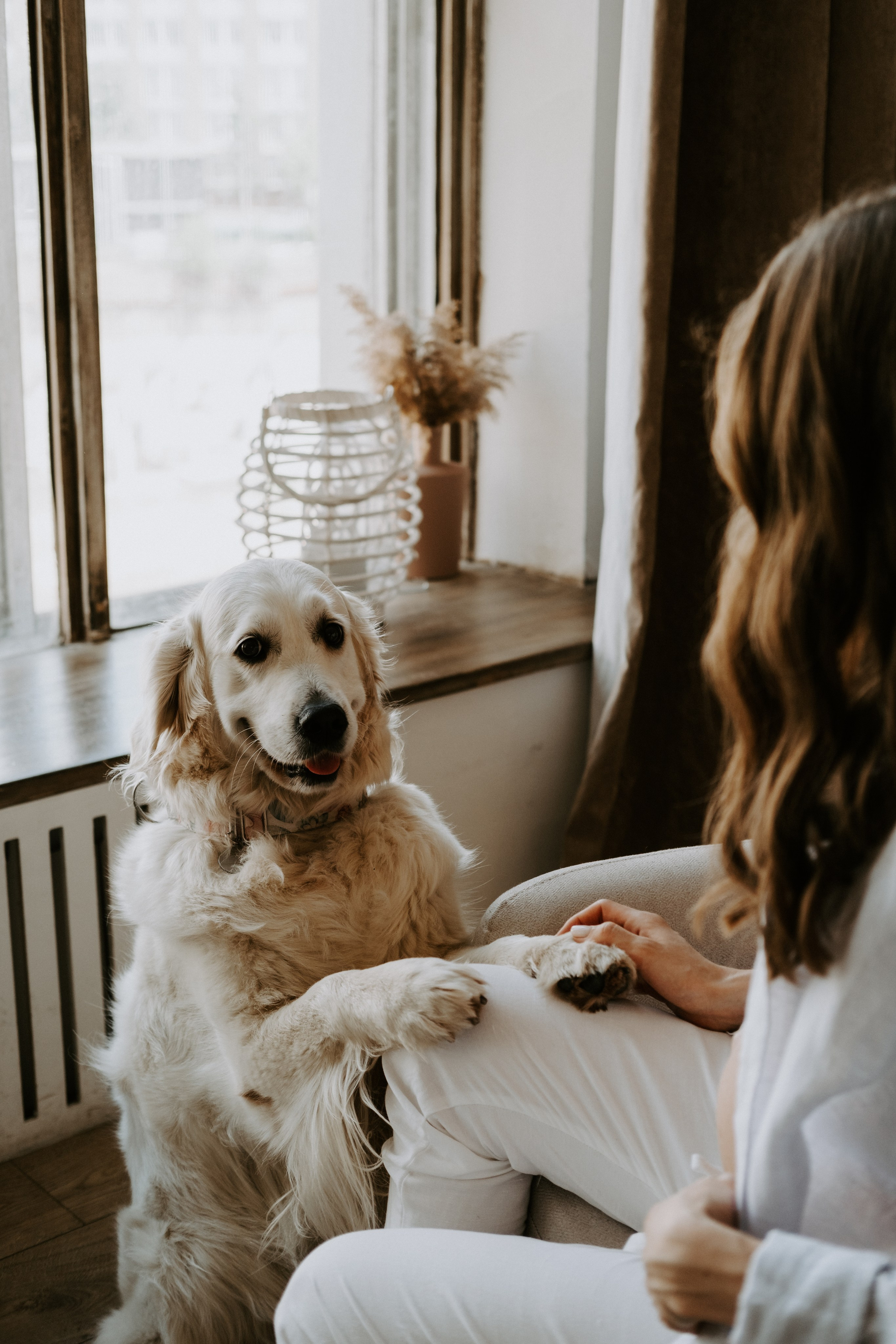 Фотосессия беременности с собакой. Семейный фотограф в Москве Кристина Маркос