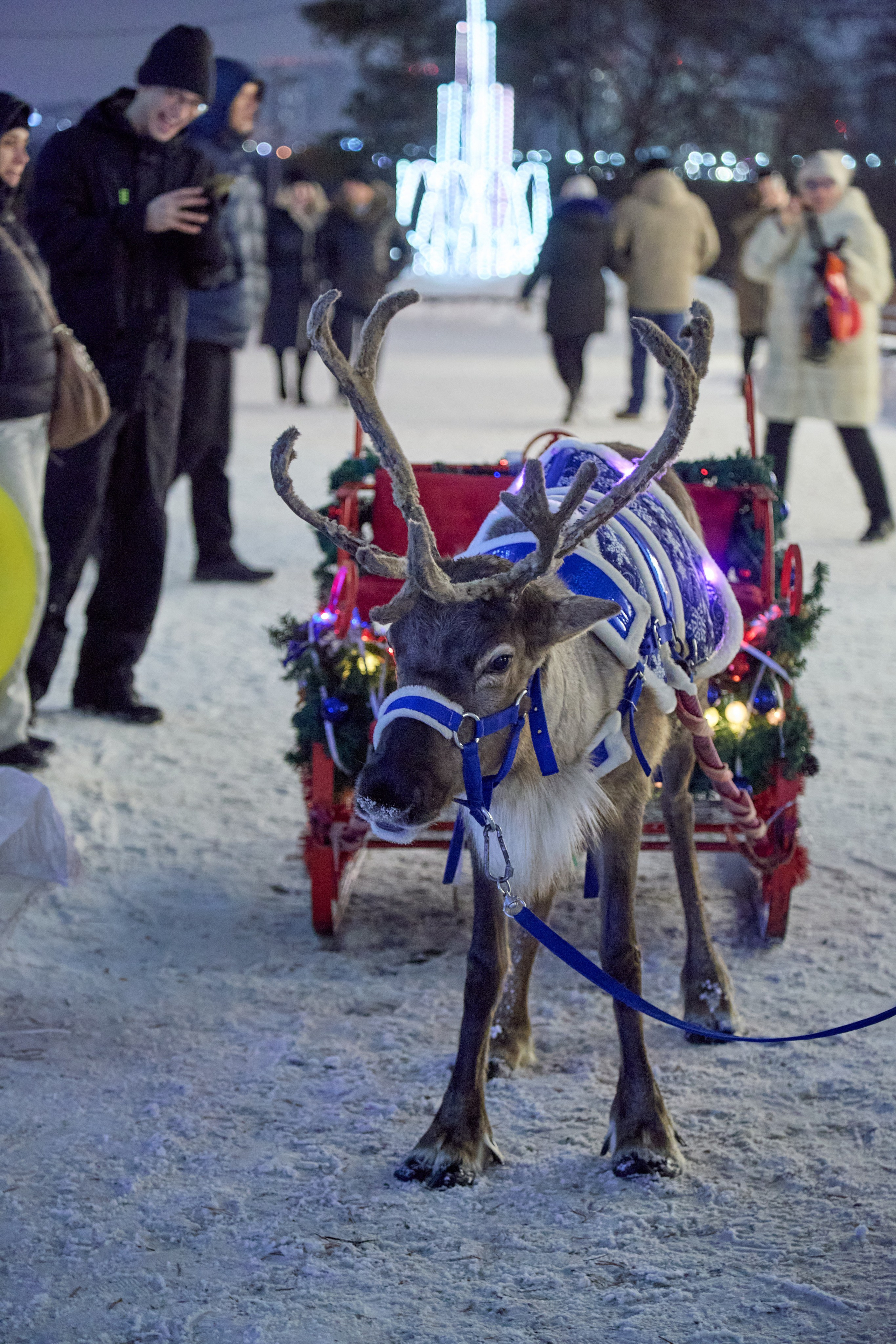 Новогодний Омск 2025. Фотограф Омск | Александр Вандеров