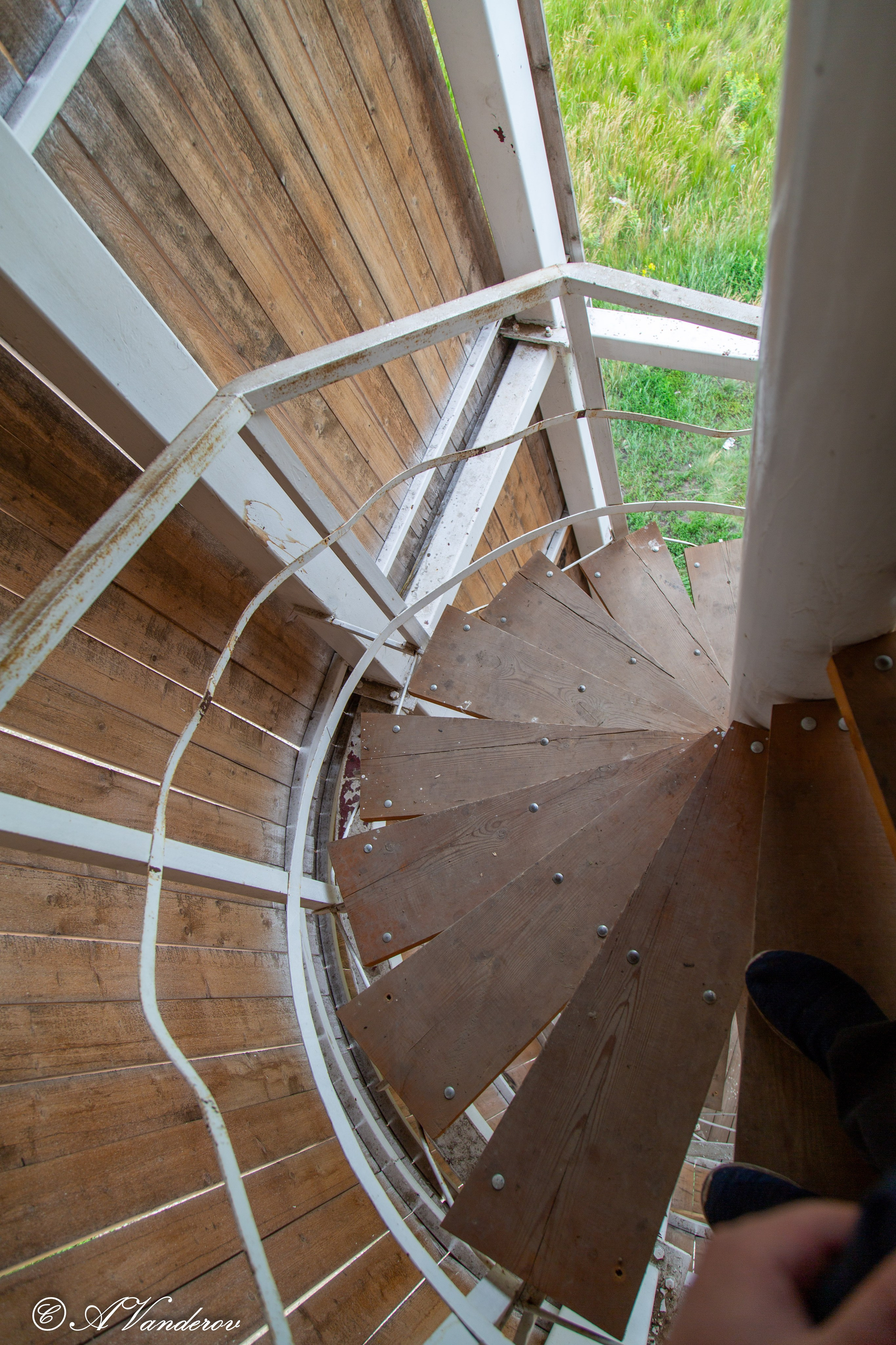 Калачинск 07.07.2024. Фотограф Омск | Александр Вандеров