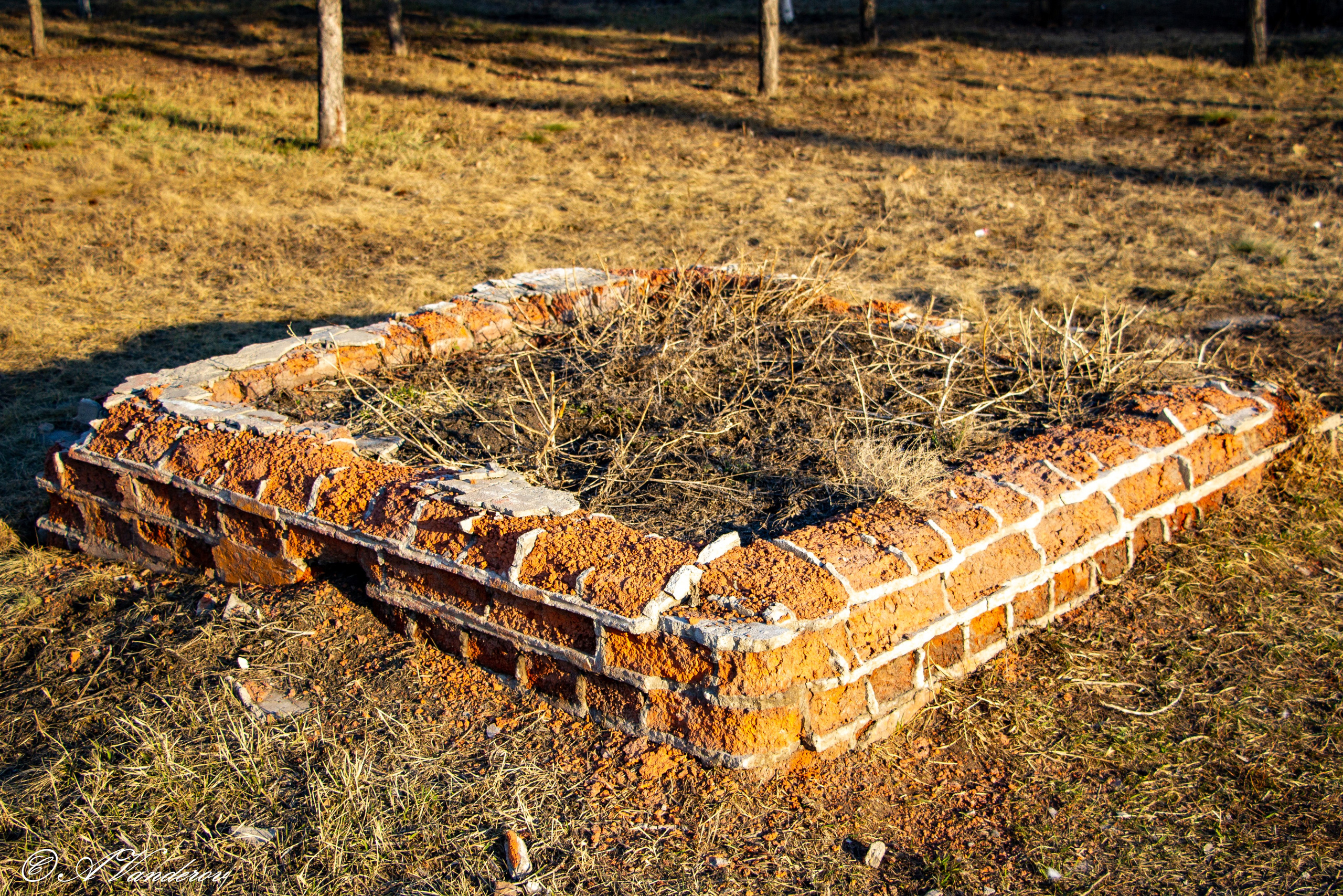 Омск 2023. Фотограф Омск | Александр Вандеров