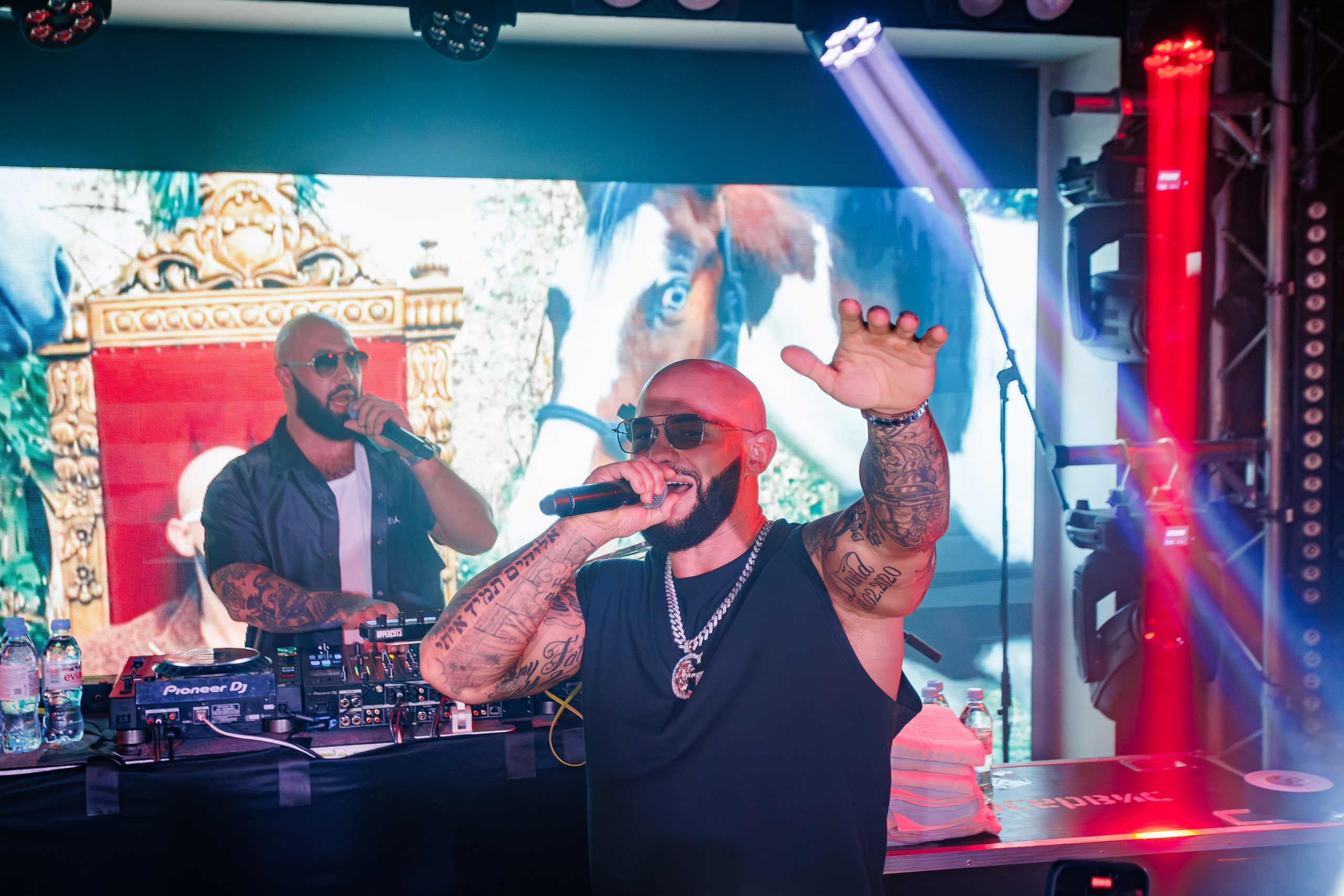 «Джиган"_Чайка на пляже_Ялта_12.07.2025 г. Аминов Руслан | Фотограф