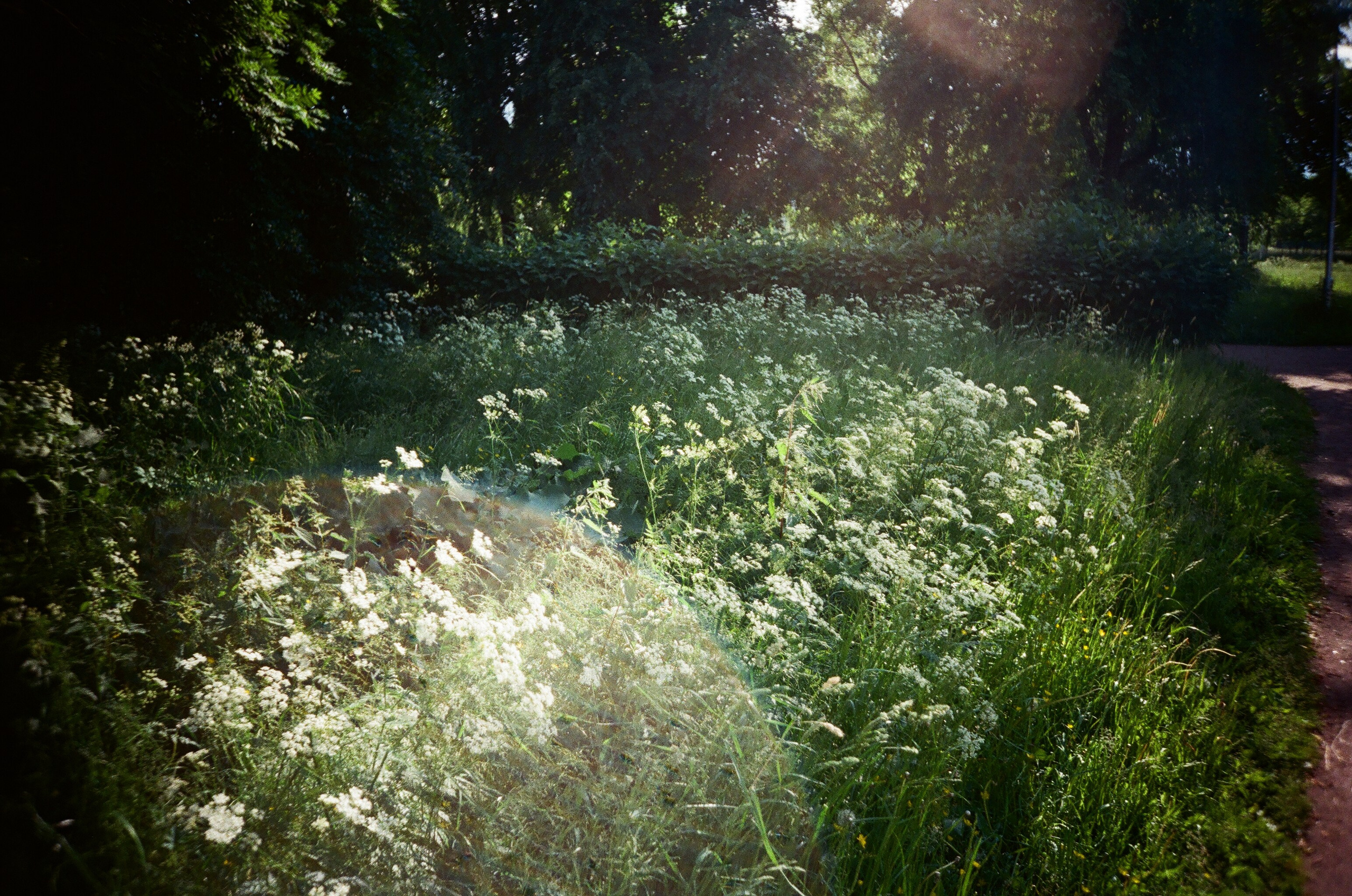 Summertime. ELINA VLADI