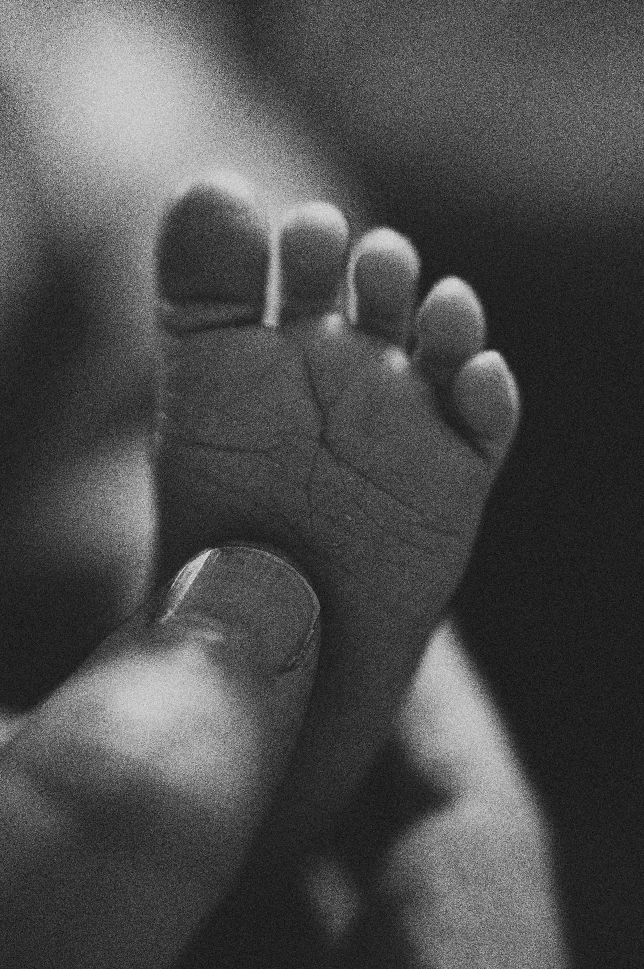 Фотограф и видеограф в Санкт-Петербурге Полина Янушко. Съёмка родов