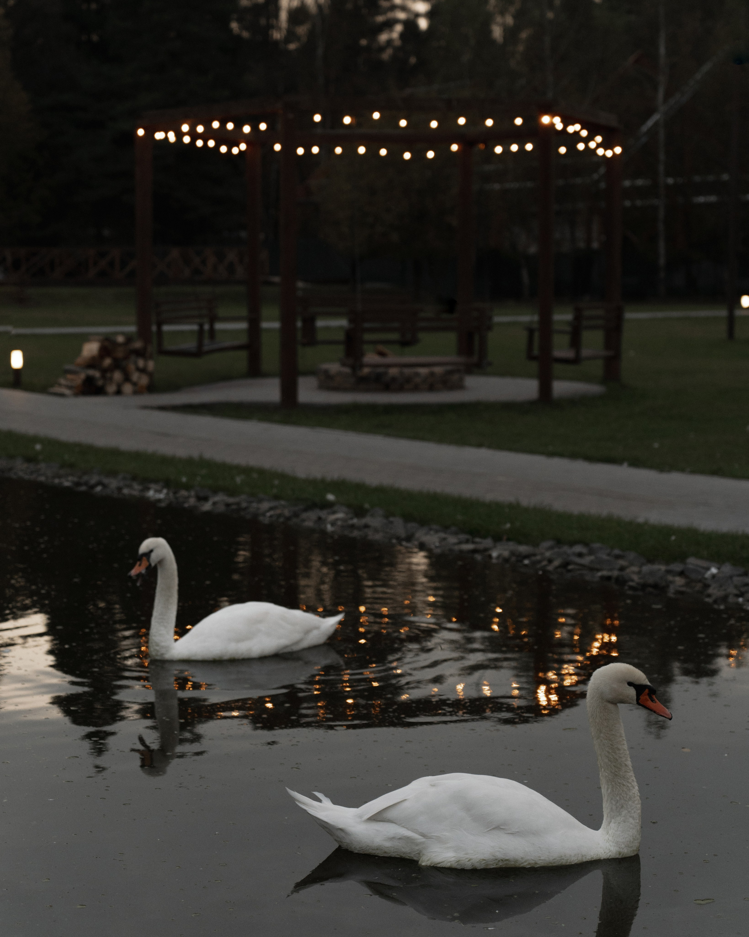 Наталия и Николай. Фотограф Олеся Скворцова
