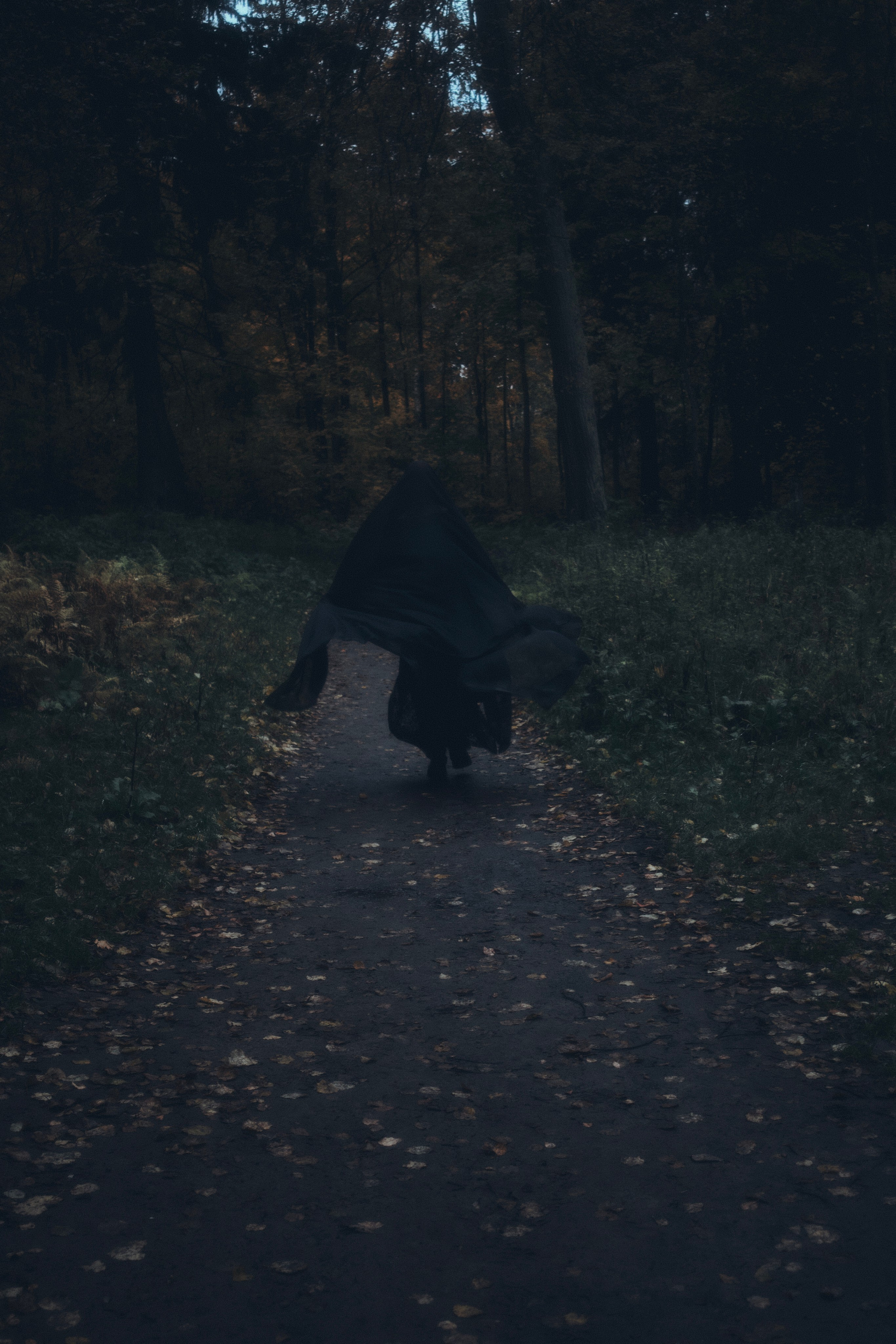 Где спит туман. Ваагн Малхасян | Фотограф | Санкт-Петербург. Создаю атмосферные кадры