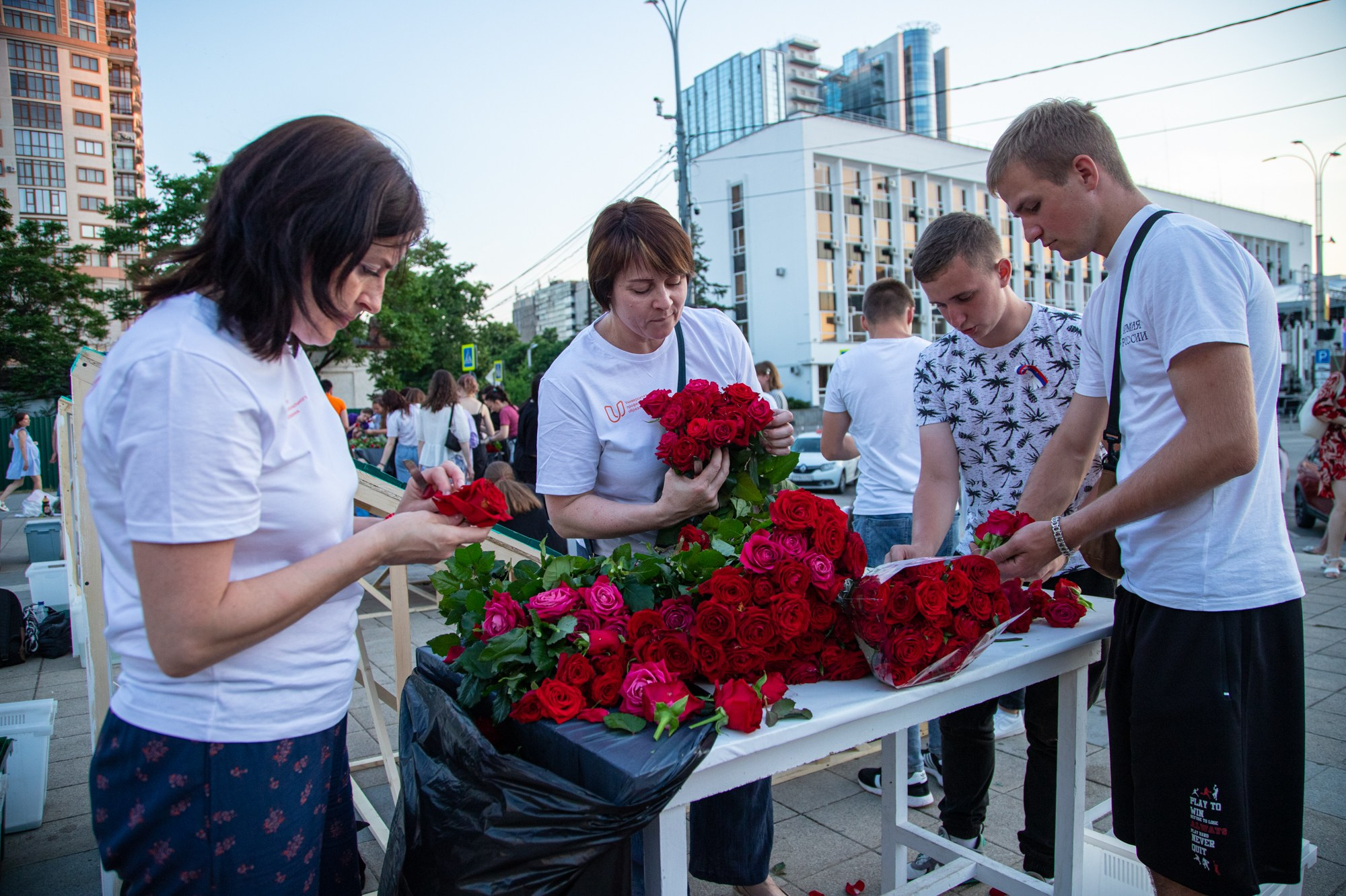 Триколор России из роз. Репортажный, промышленный и маркетплейс-фотограф Дмитрий Чернат