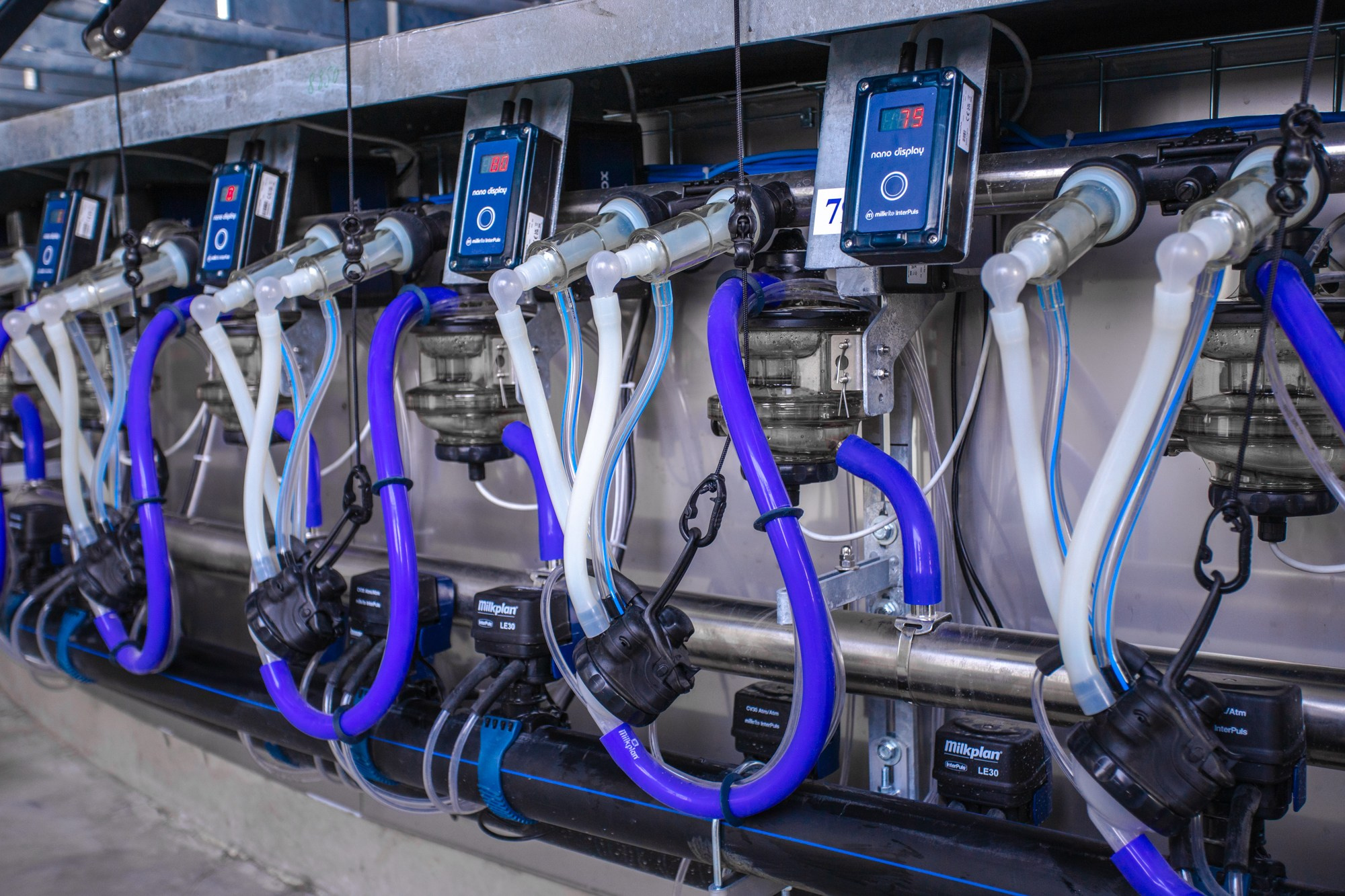 Открытие карусели для дойки скота. Репортажный, промышленный и маркетплейс-фотограф Дмитрий Чернат