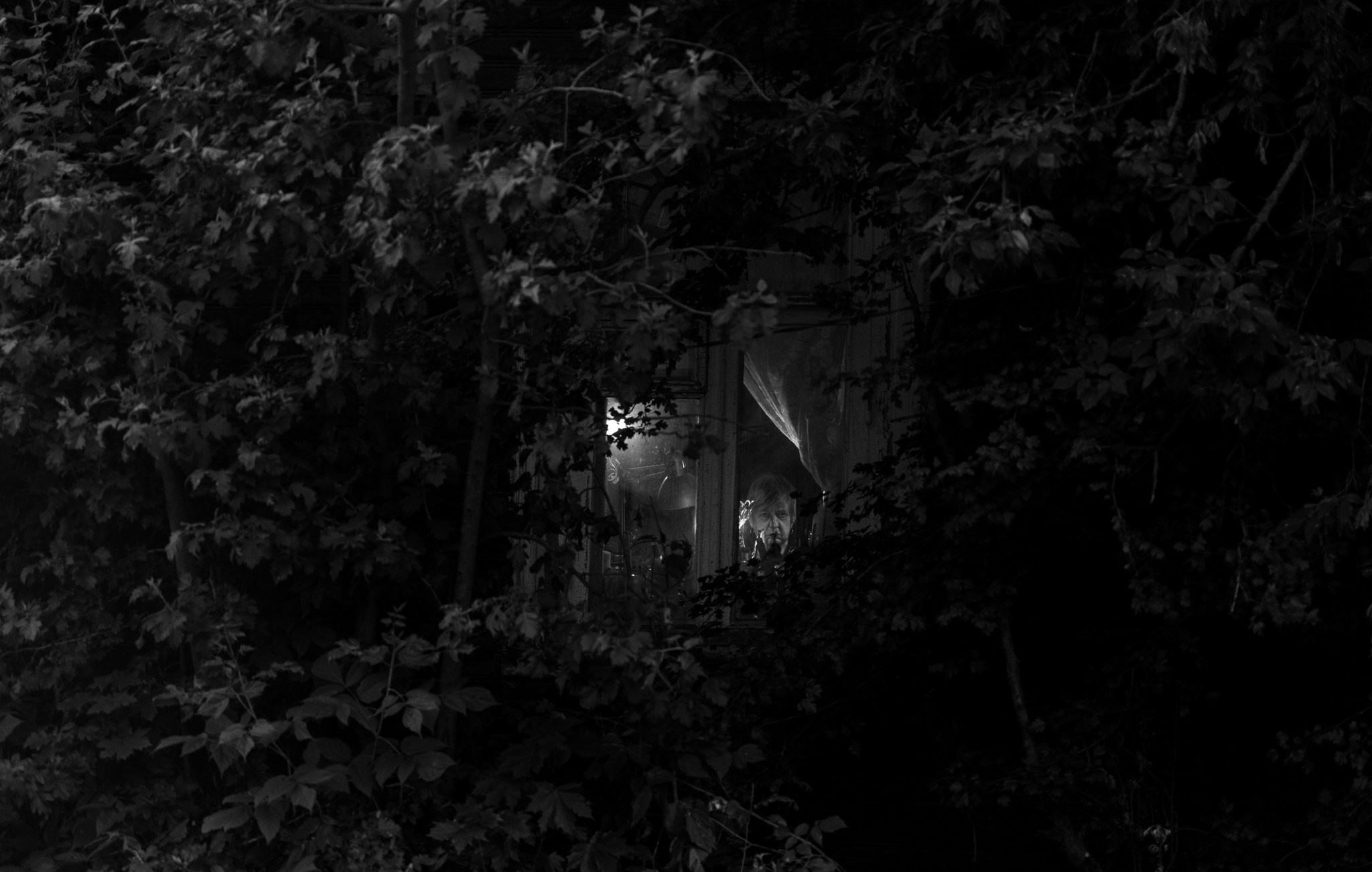 A stern look through the foliage. Sergiev Posad. 2025