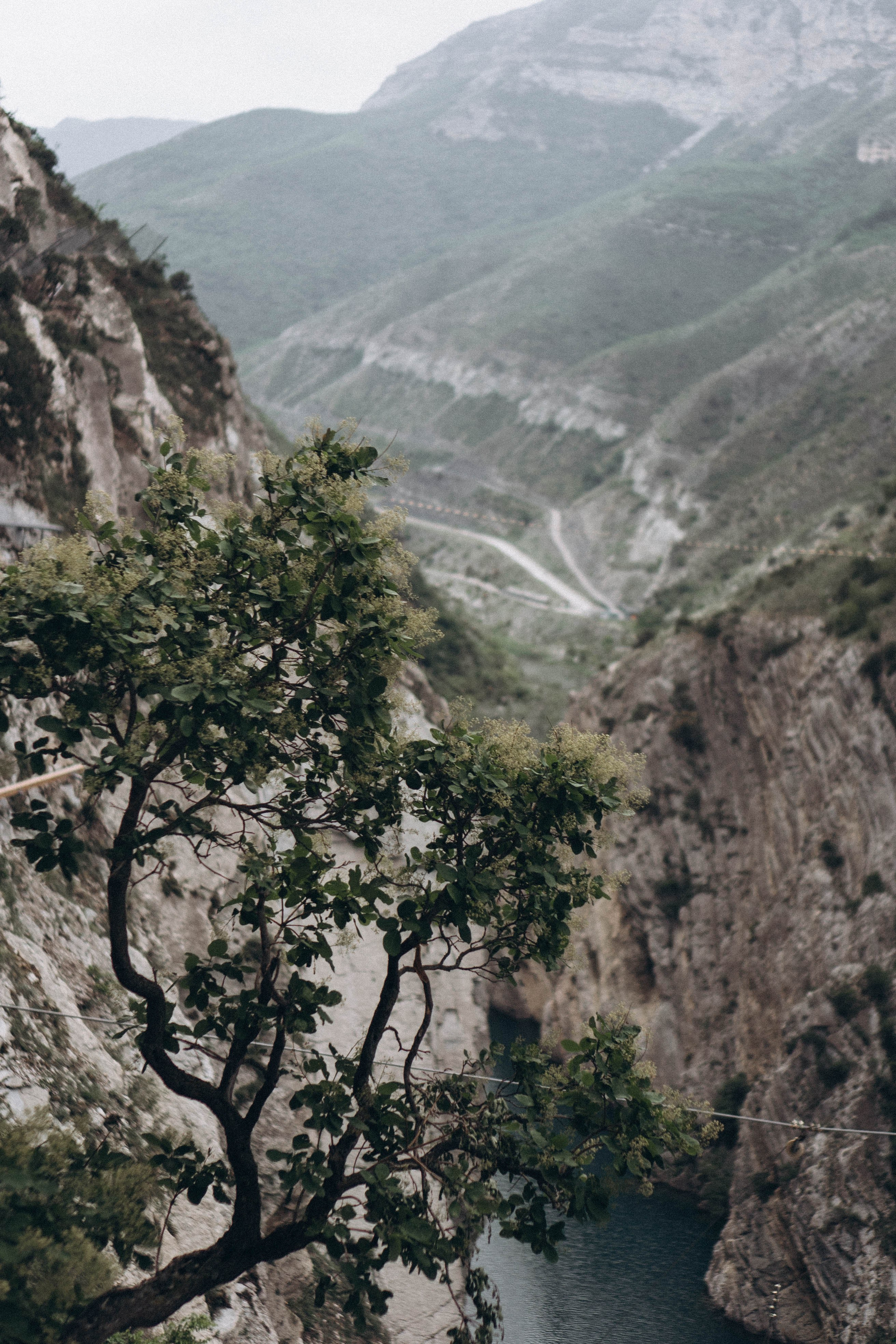 Кавказ. Профессиональный фотограф, Санкт-Петербург — Виктория Богомолова