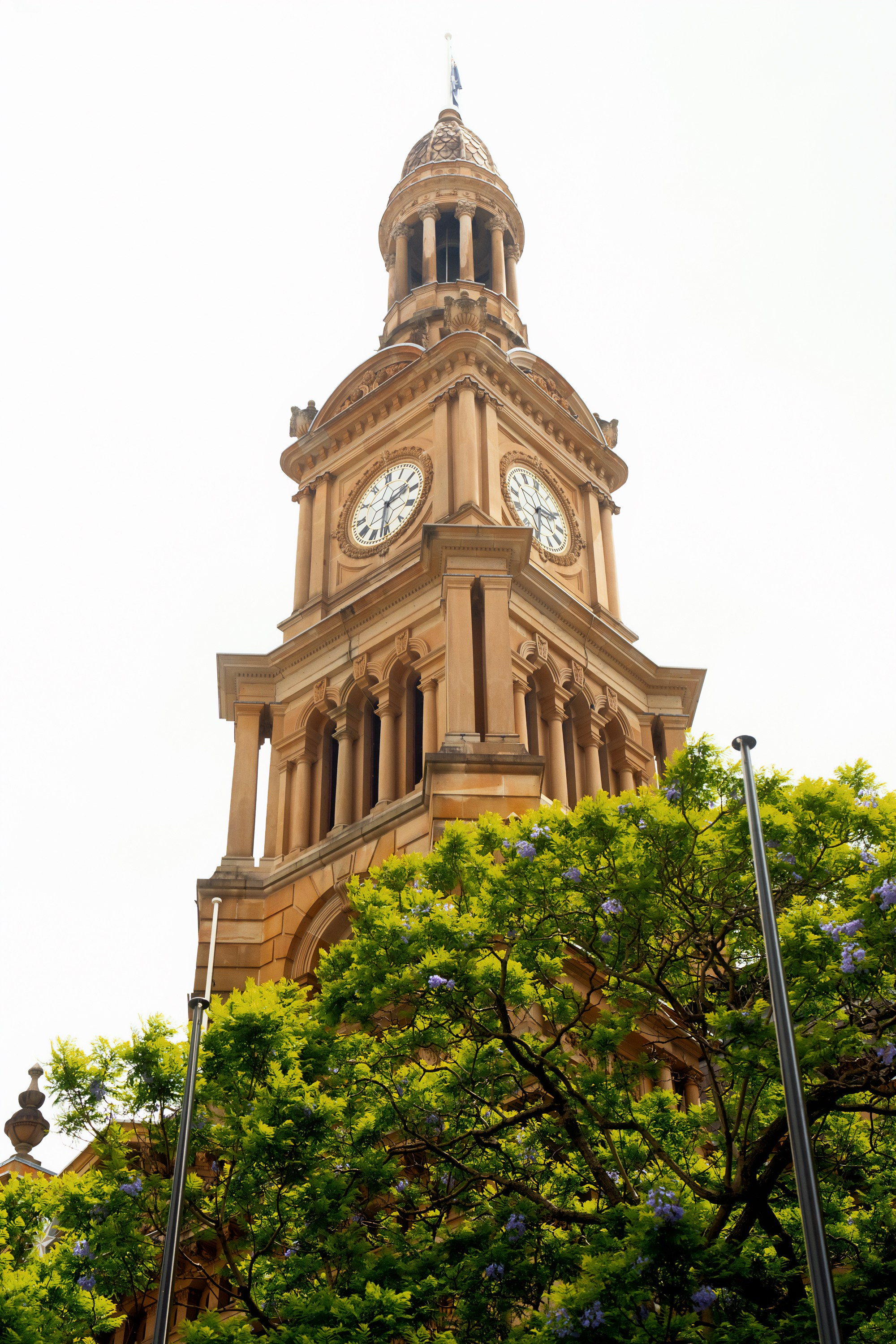 Австралия. Фотограф в Хабаровске. Фотография за 24 часа